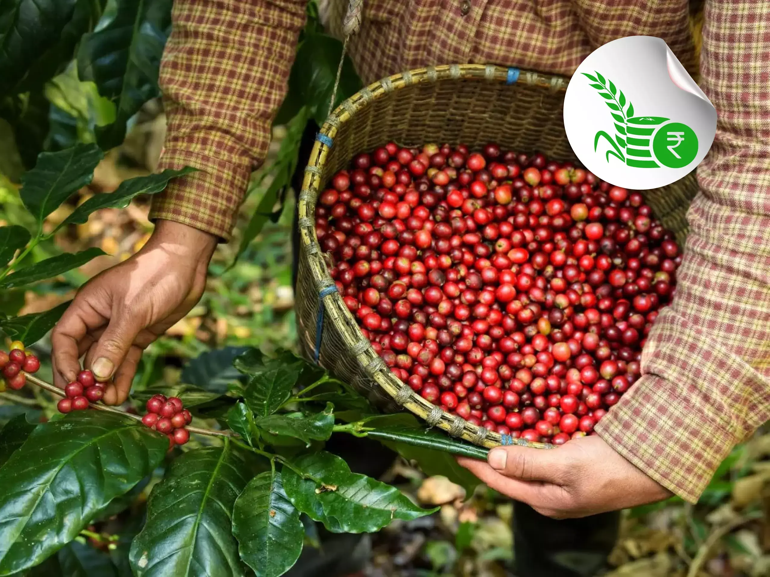 commodity market updation 12 05