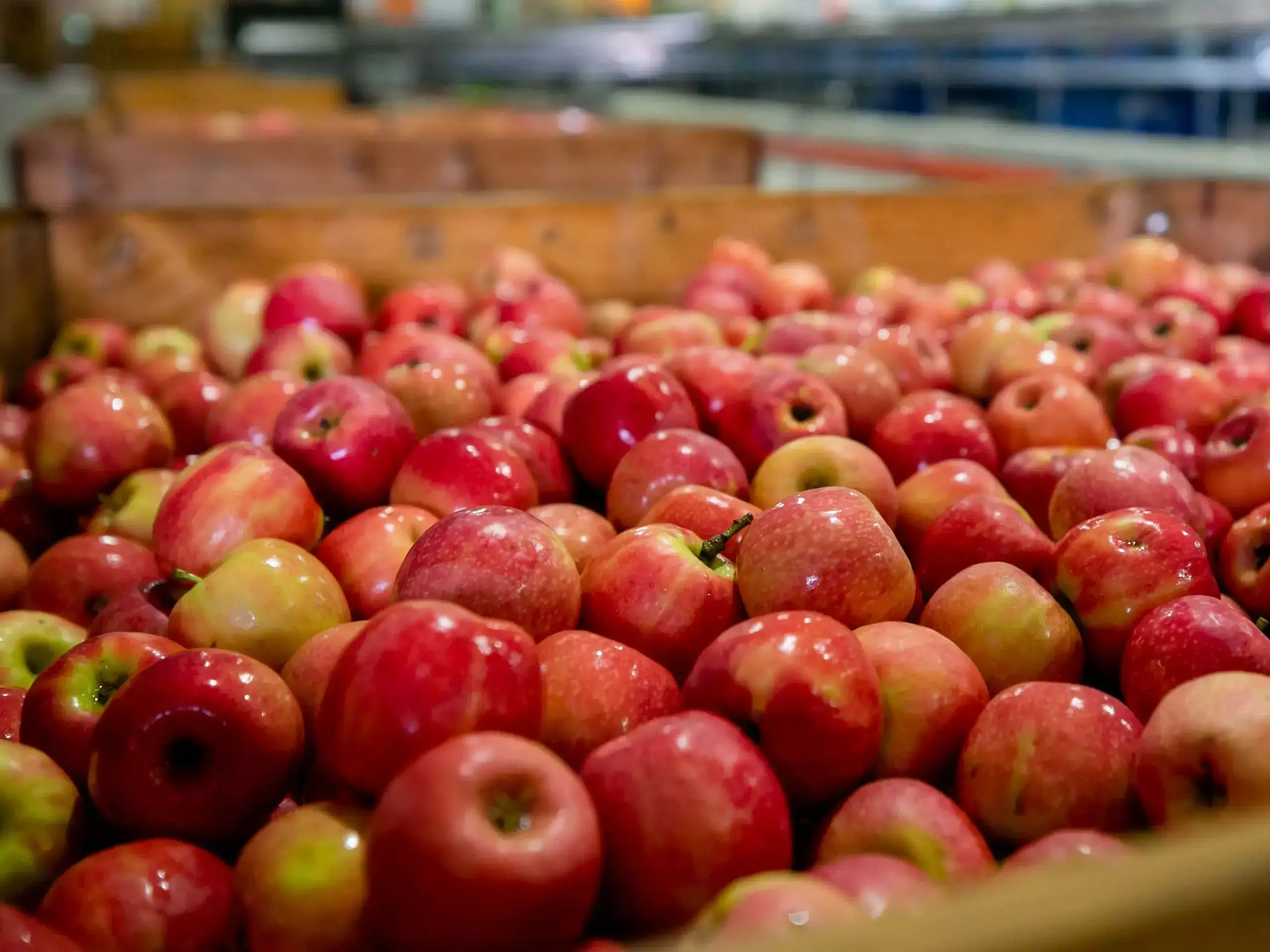 ആപ്പിളിന്റെ ഇറക്കുമതിതീരുവ   100  ശതമാനമാക്കണമെന്ന് ആവശ്യം