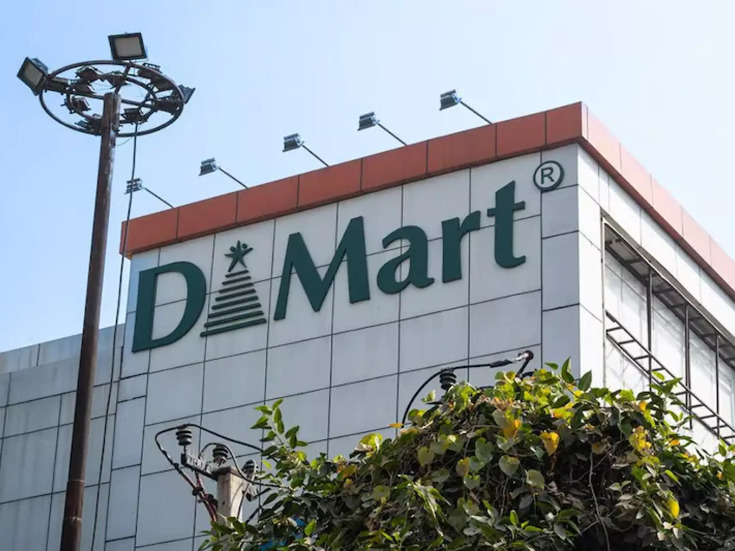 rose dmart net profit