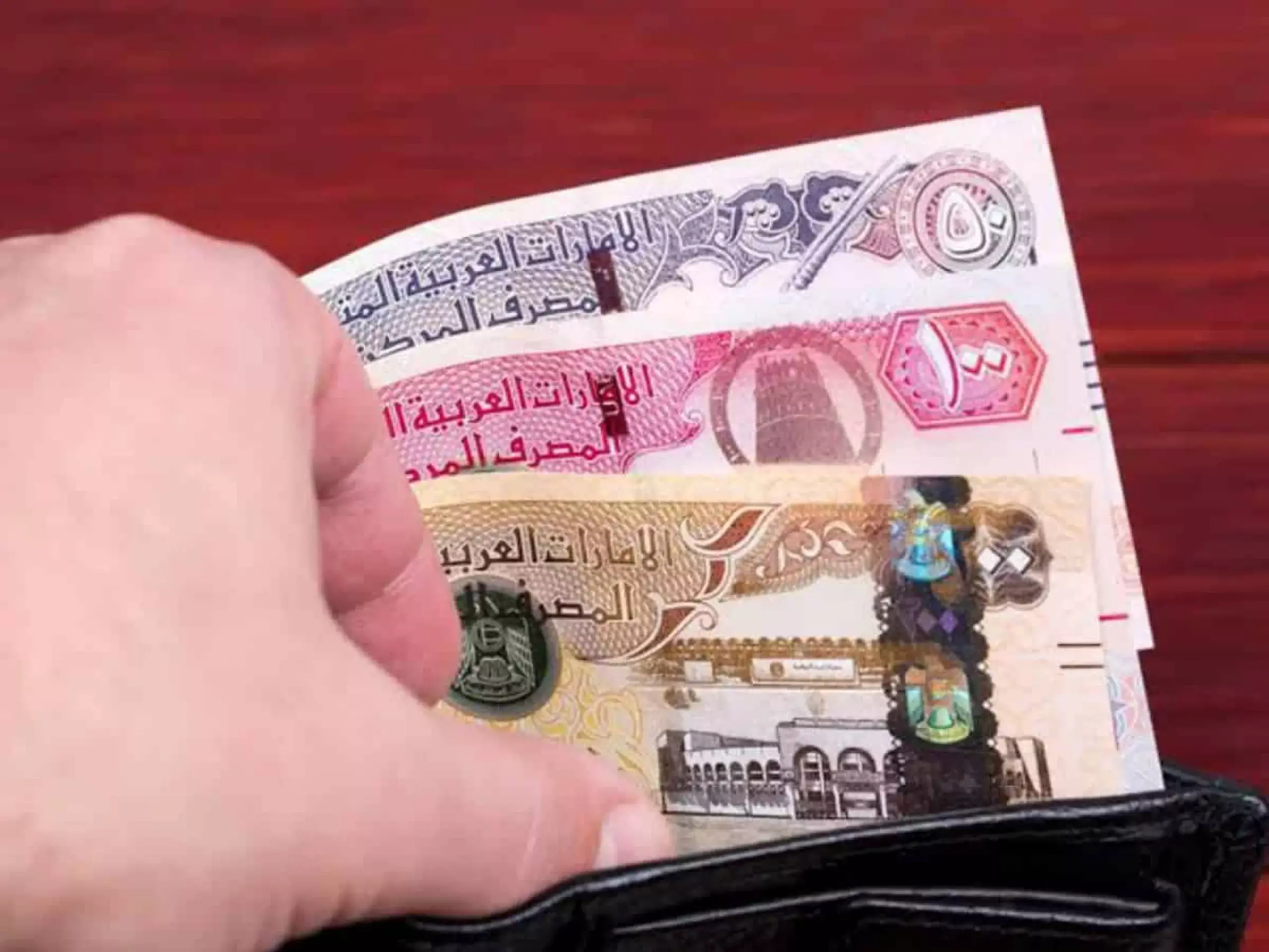 uae Unemployment insurance to success