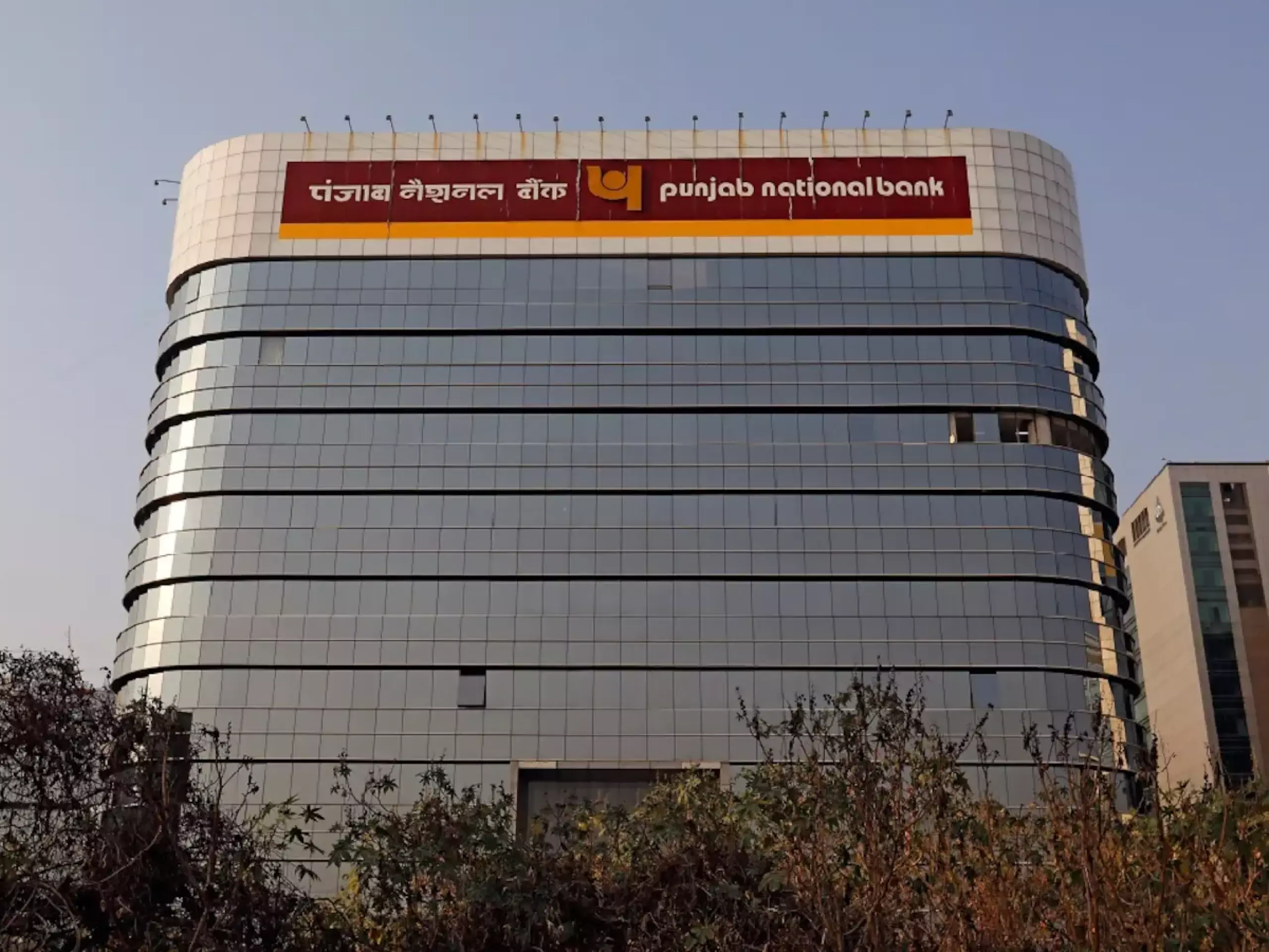 punjab national bank net profit growth