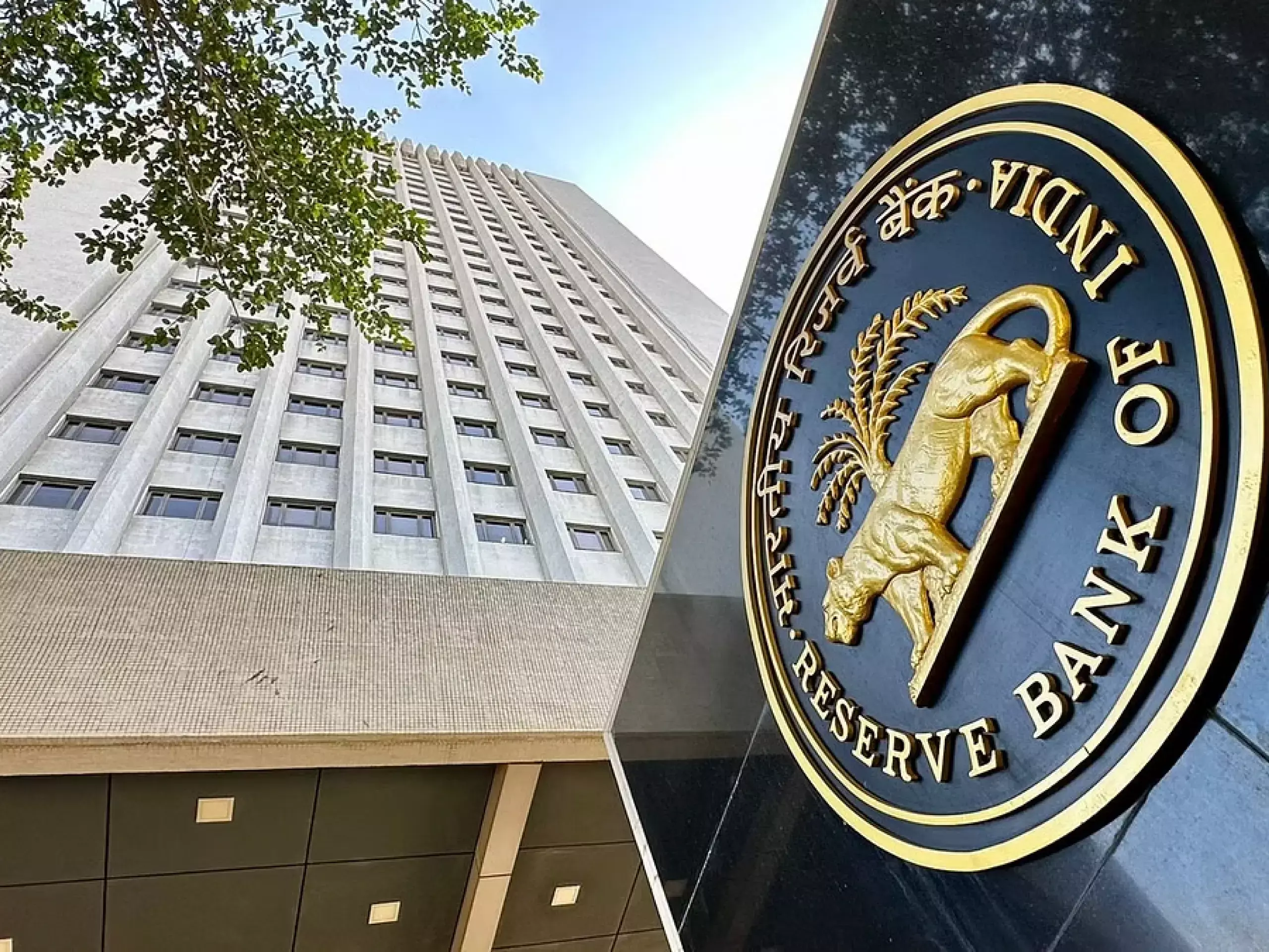 rbi article about private consumption and rural demand