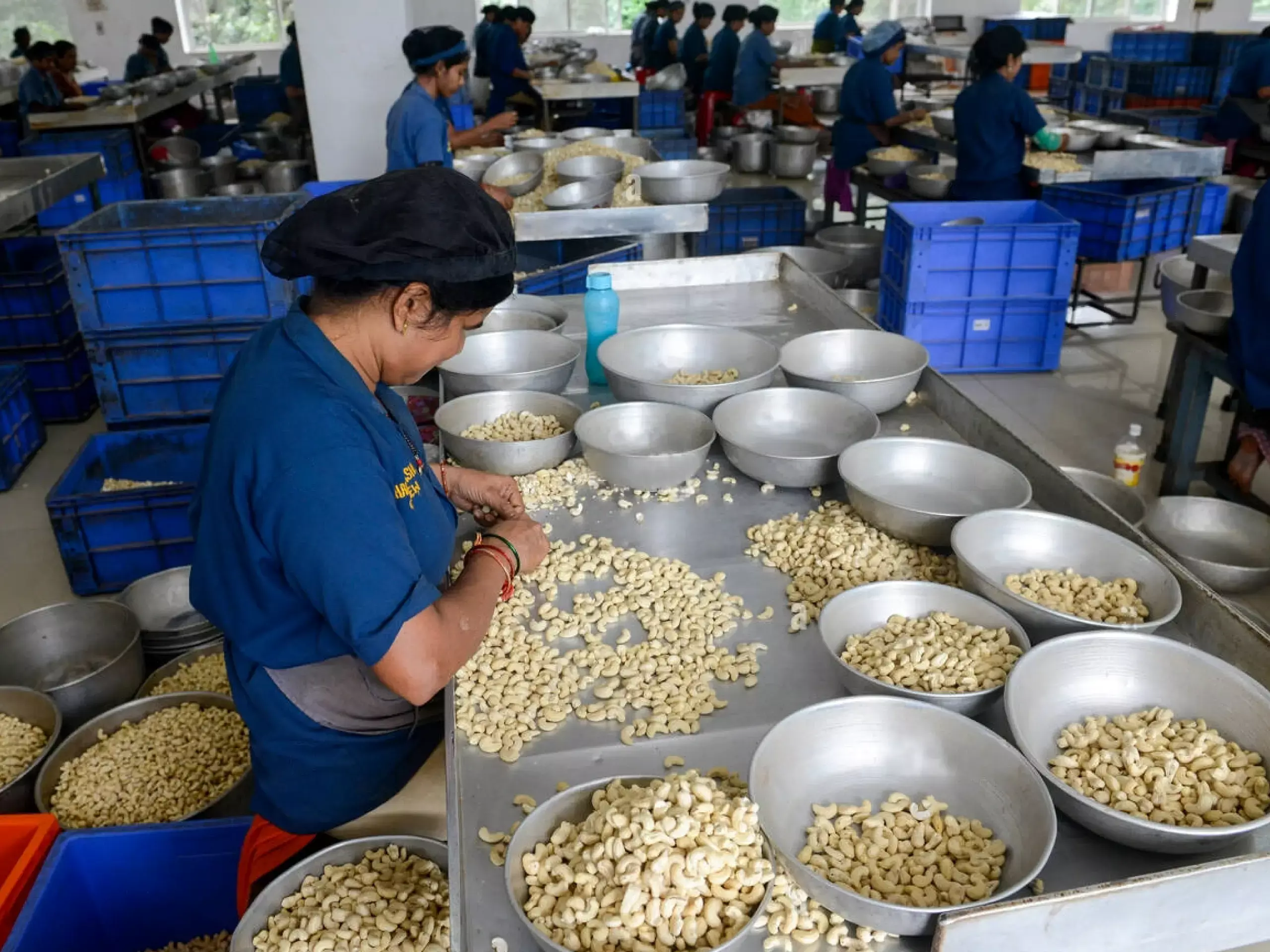 cashew nut pvt industry