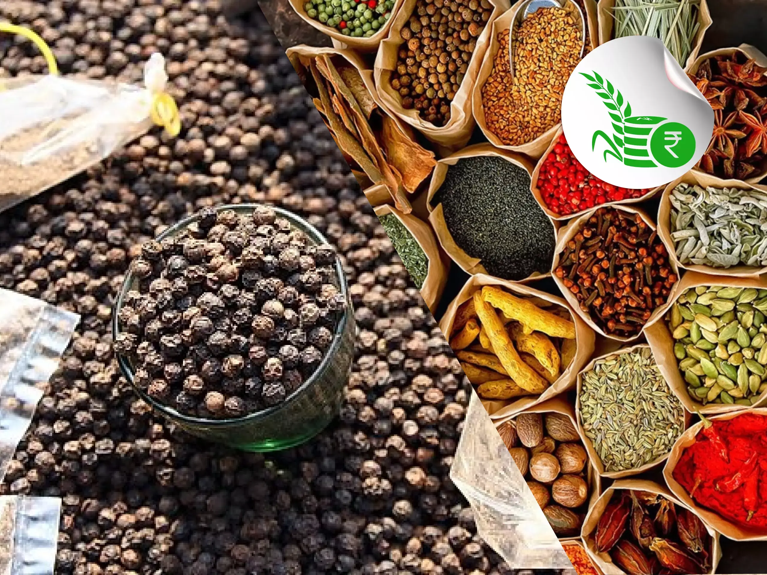 കുരുമുളക് പിടിക്കാന്‍ ഇറക്കുമതി ലോബിയും, ഗന്ധം മങ്ങുന്ന സുഗന്ധ വിളകള്‍