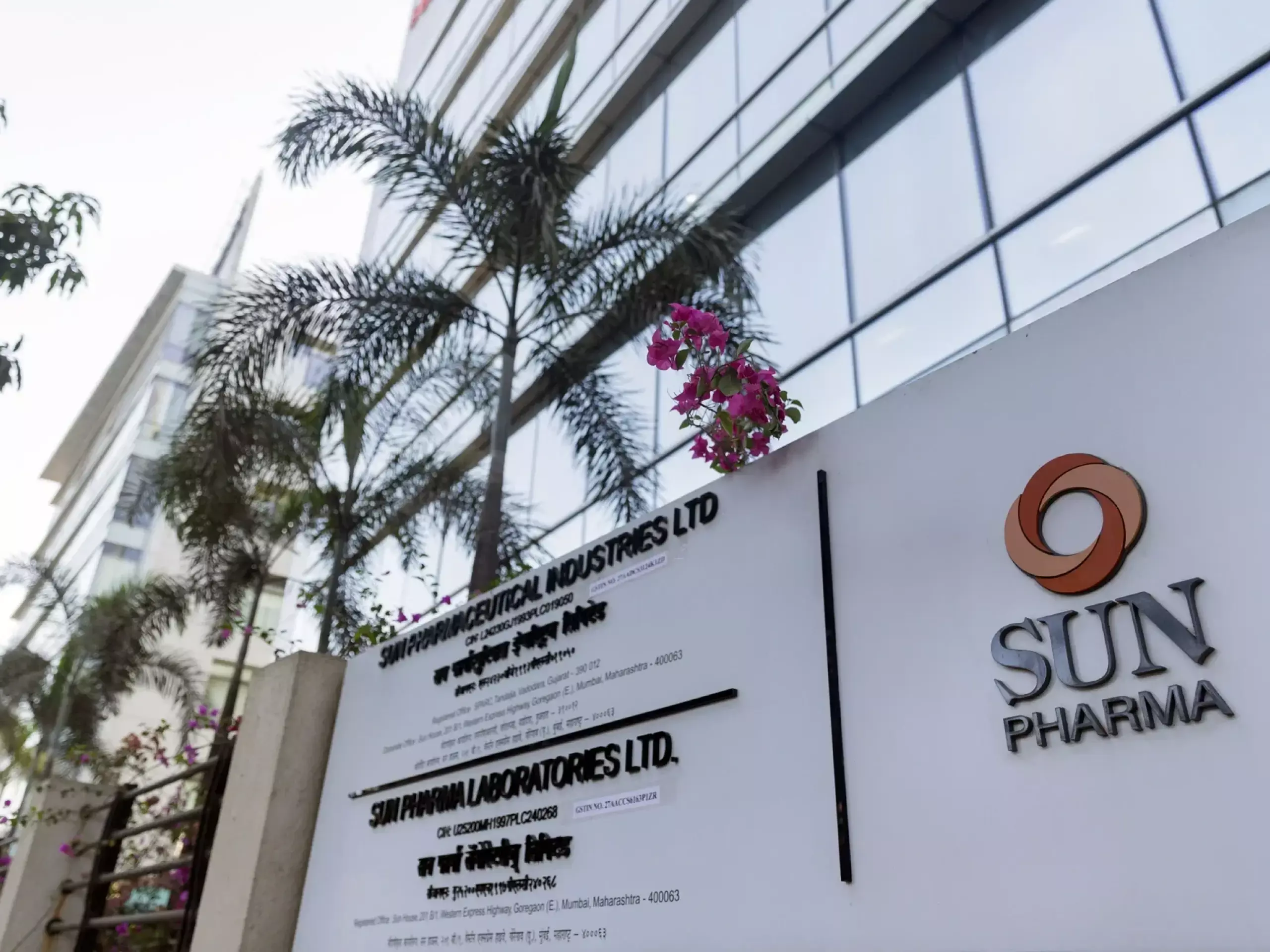 sunpharma net profit growth