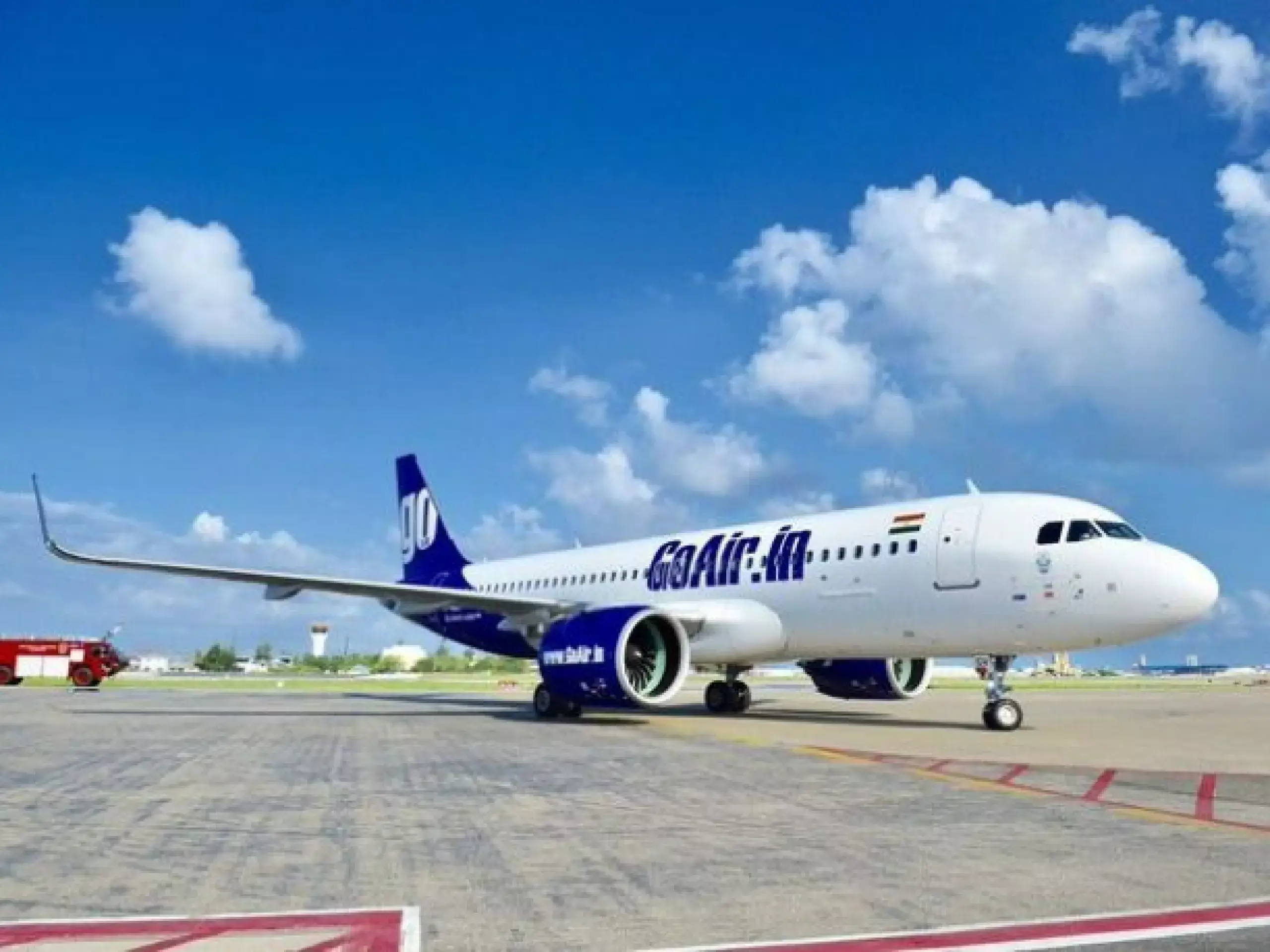 go first fly up again