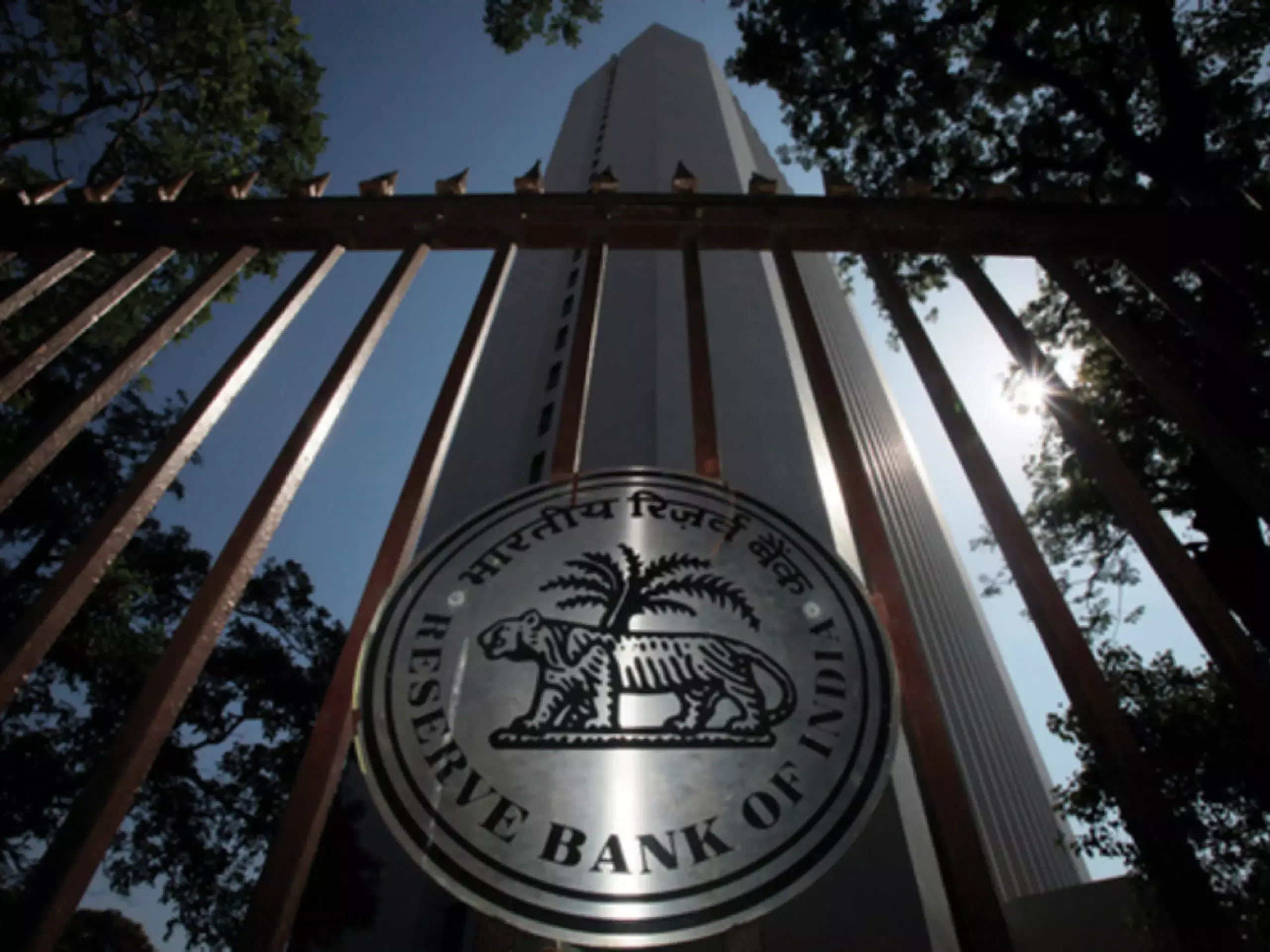 rbis light weight portal payment system