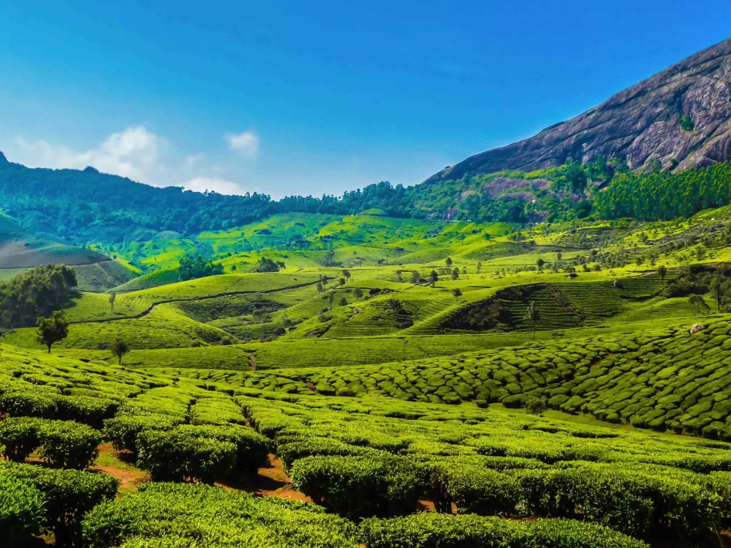 idukki tourism; new projects including ropeway in the pipeline
