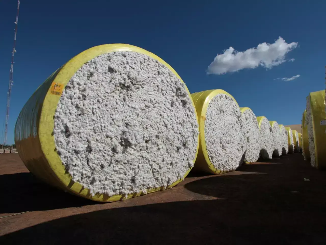 ബ്രസീലുമായുള്ള പരുത്തി വ്യാപാരം  യുവാനിലേക്ക് ; ചൈനക്ക് നേട്ടം