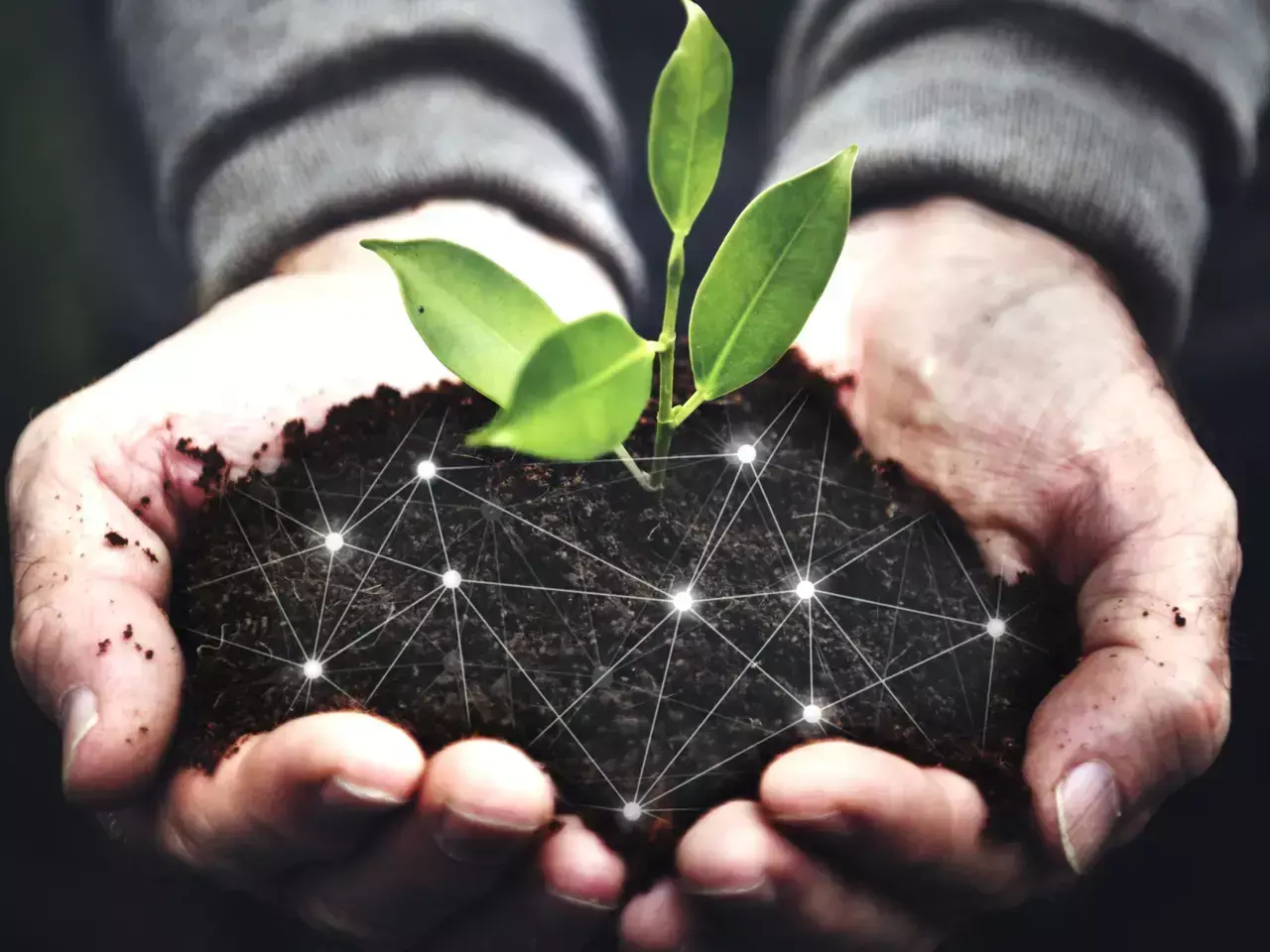 അഗ്രിടെക്കില്‍ വിജയഗാഥ  രചിക്കാന്‍ തെലങ്കാന