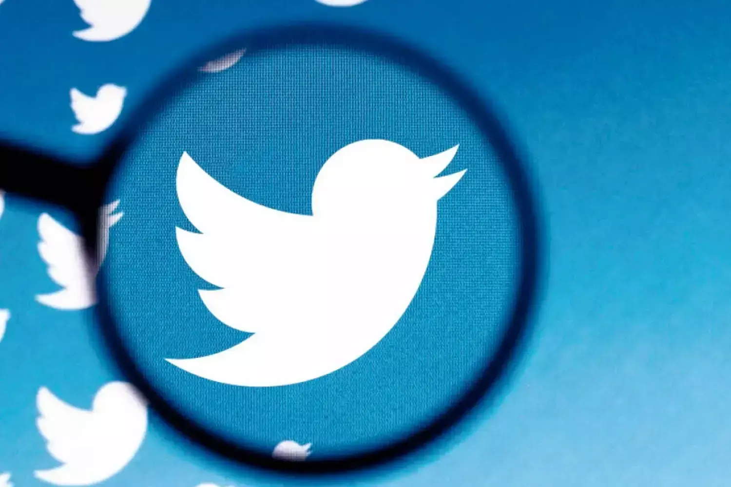 ട്വിറ്ററിൽ ഇനി ട്വീറ്റുകൾ ഹൈലൈറ്റ് ചെയ്യാം