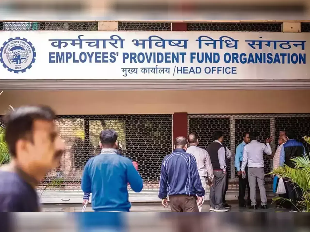 increase in epfo new registration