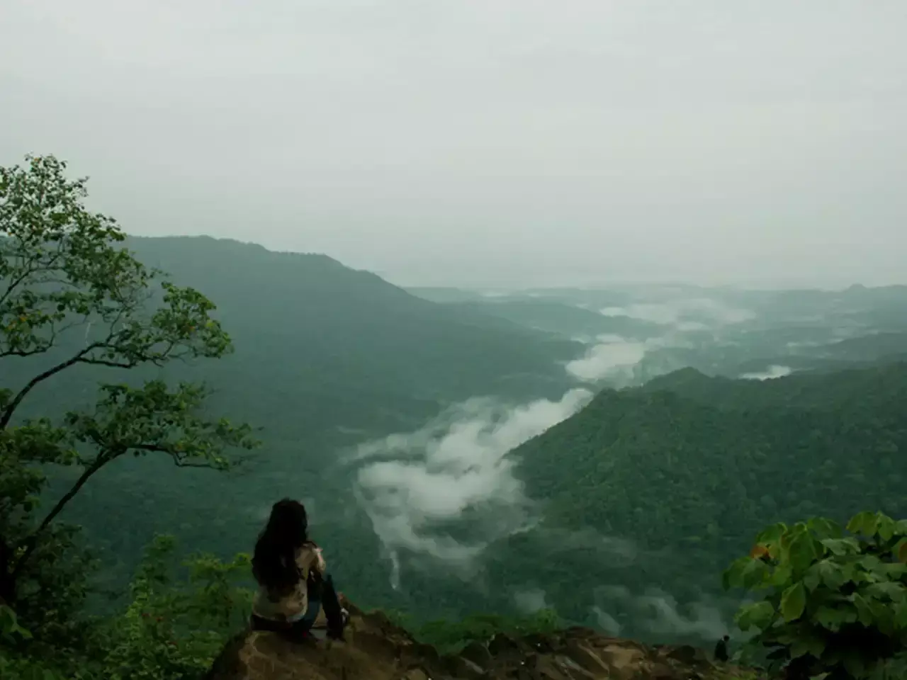 splash rain festival in wayanad