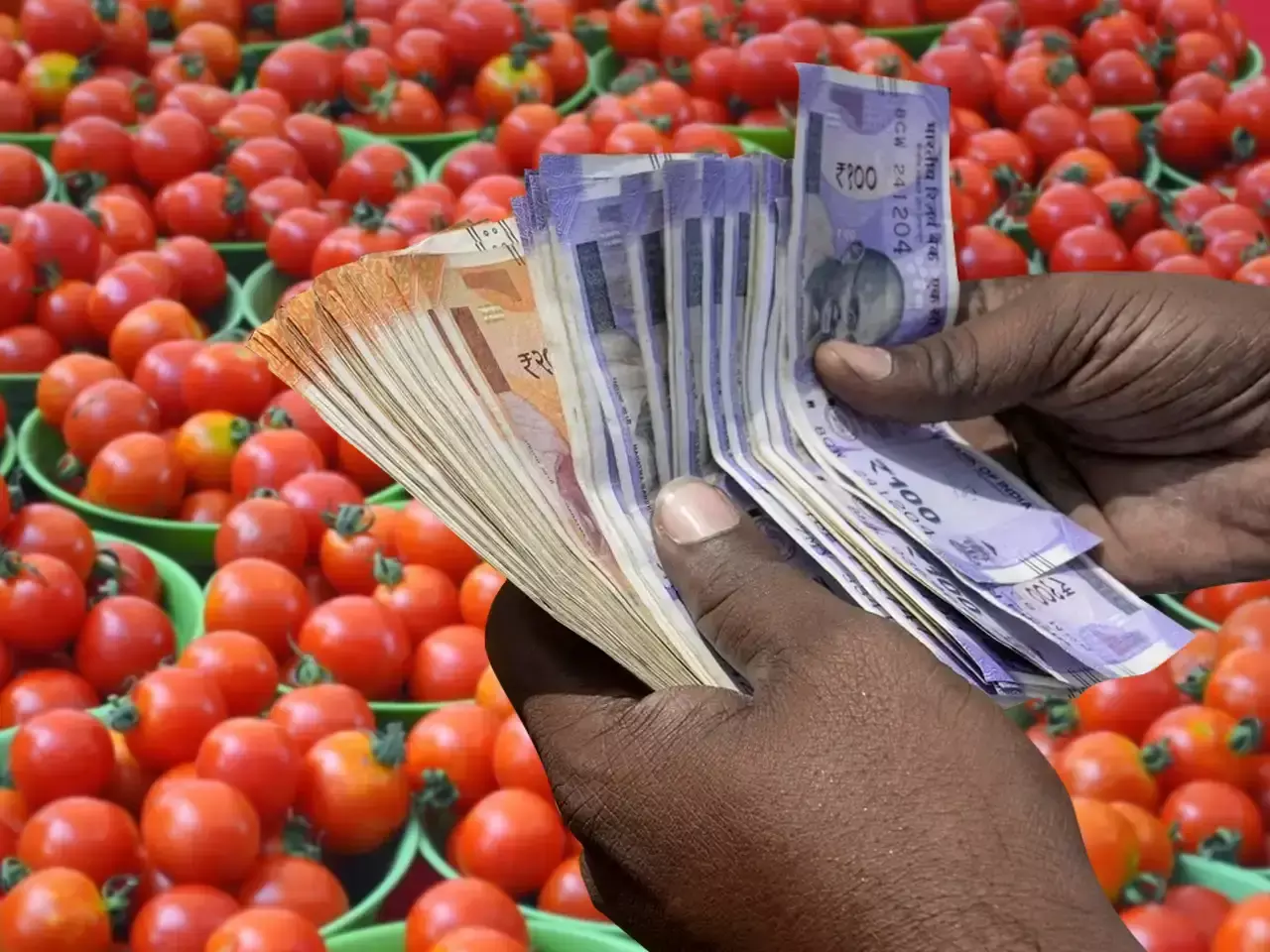 tomato price hike