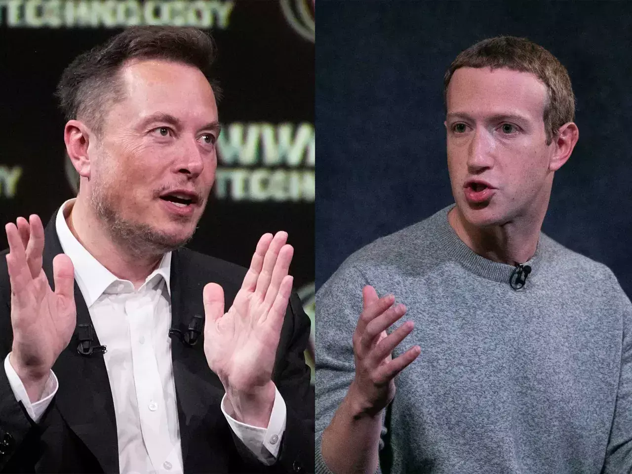 musk said that cage fight with zuckerberg will take place in italy