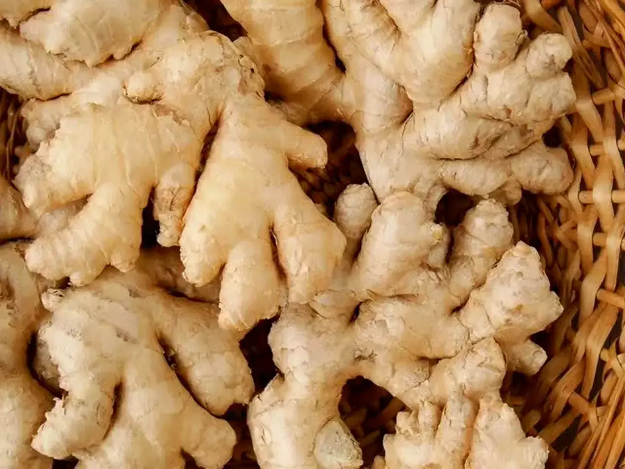ginger prices at record high