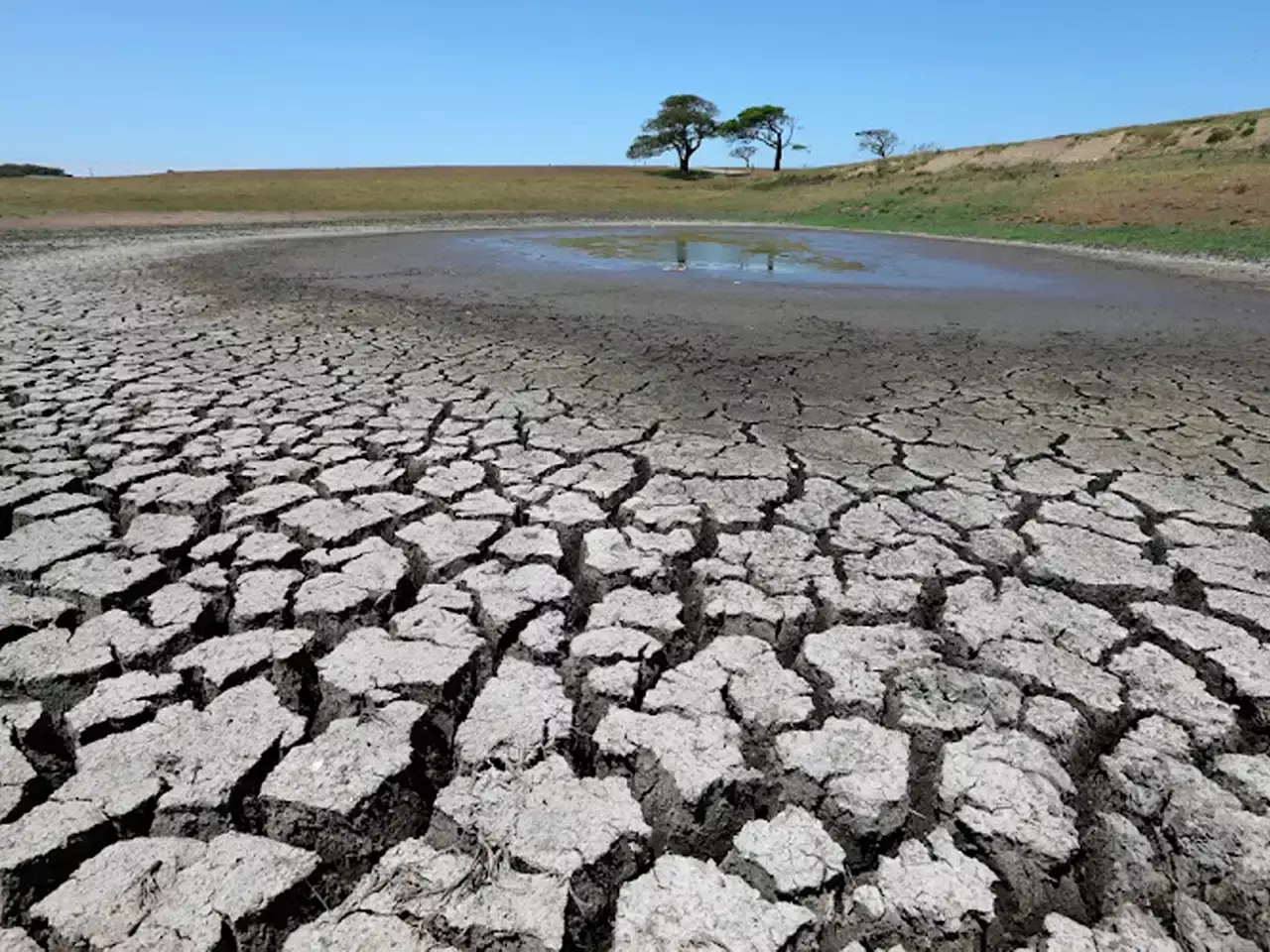 el nino comes after a gap of 7 years