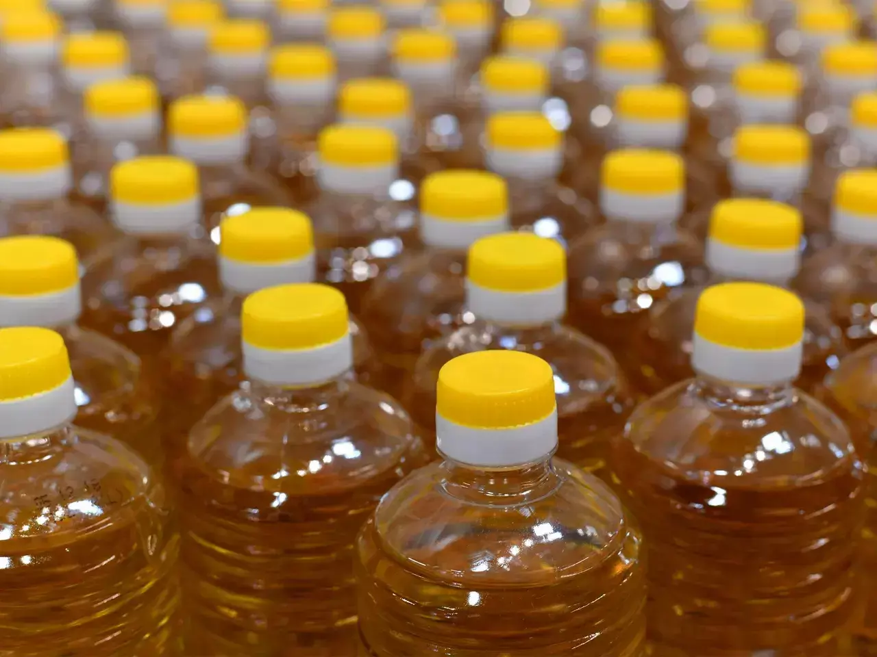 imports of palm oil and soy oil increased in june