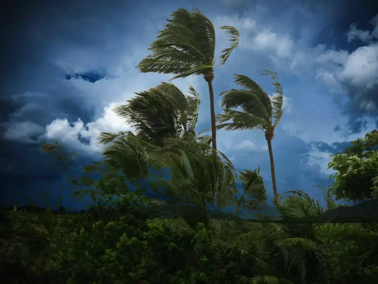 മഴ കനത്തു; വിനോദ സഞ്ചാര കേന്ദ്രങ്ങള്‍ക്ക് വിലക്ക്