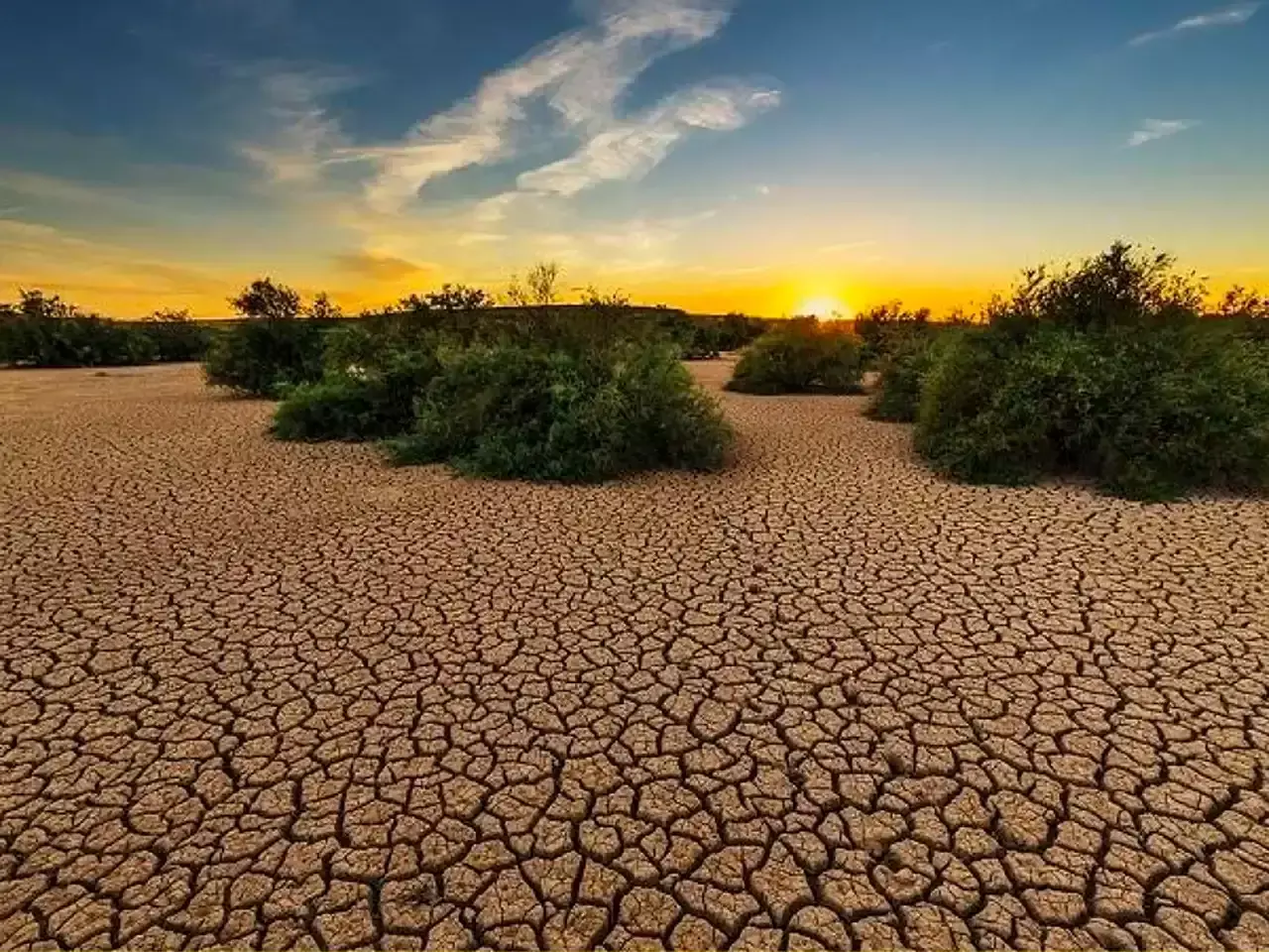 drought in tamil nadu center govt evaluates