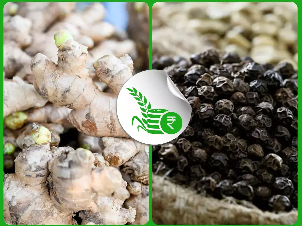 ഉയരങ്ങളിലൂടെ പല നാളുകളായി ഇഞ്ചിയും കുരുമുളകും