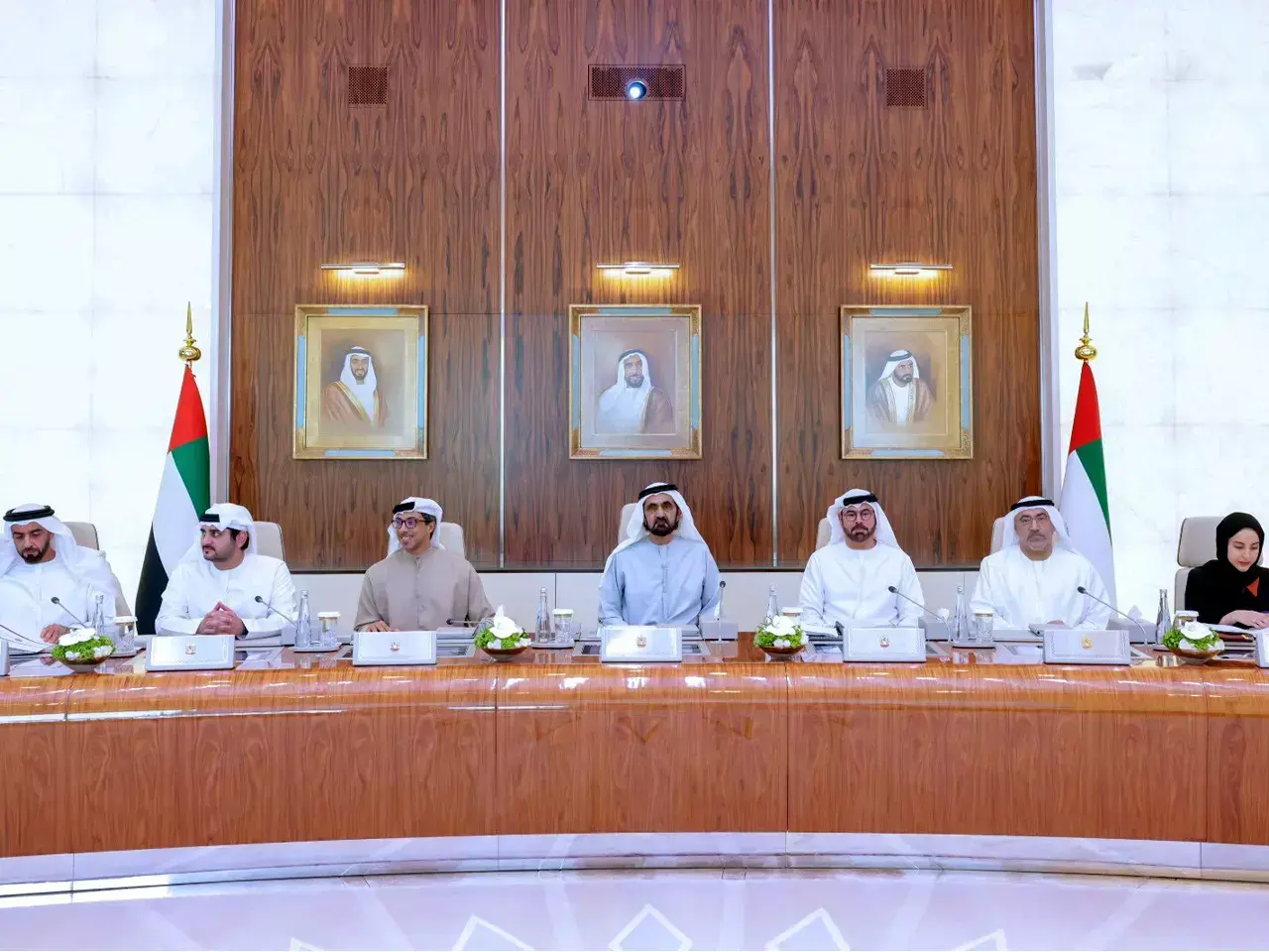 new minister for investment in uae