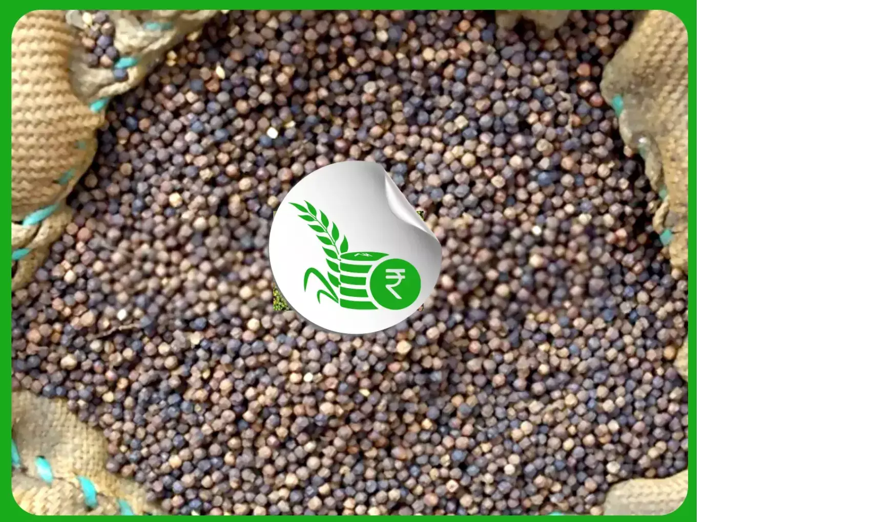 കുരുമുളക് വിലയില്‍ ഇടിവ്; ക്വിന്റലിന് കുറഞ്ഞത്‌ 1600 രൂപ