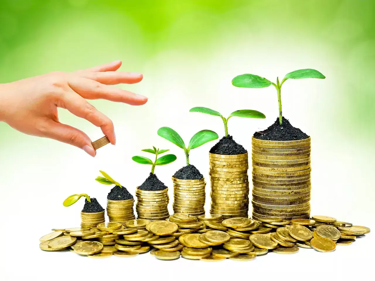 5 small cap funds with best performance