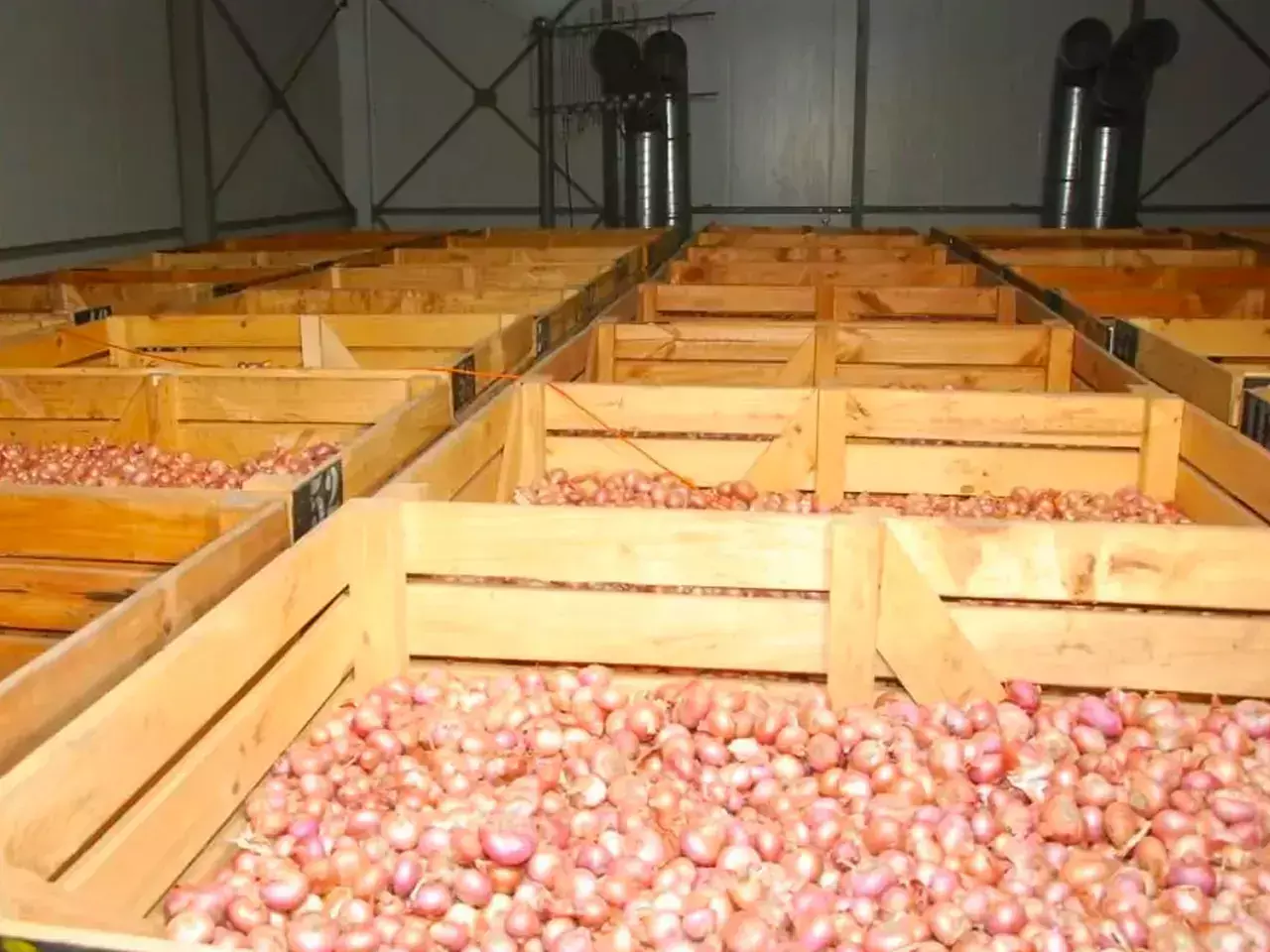 ഉള്ളി സംഭരണം 20 %  കൂട്ടി; ഷെല്‍ഫ് ലൈഫ് വര്‍ധിപ്പിക്കാനും ശ്രമം