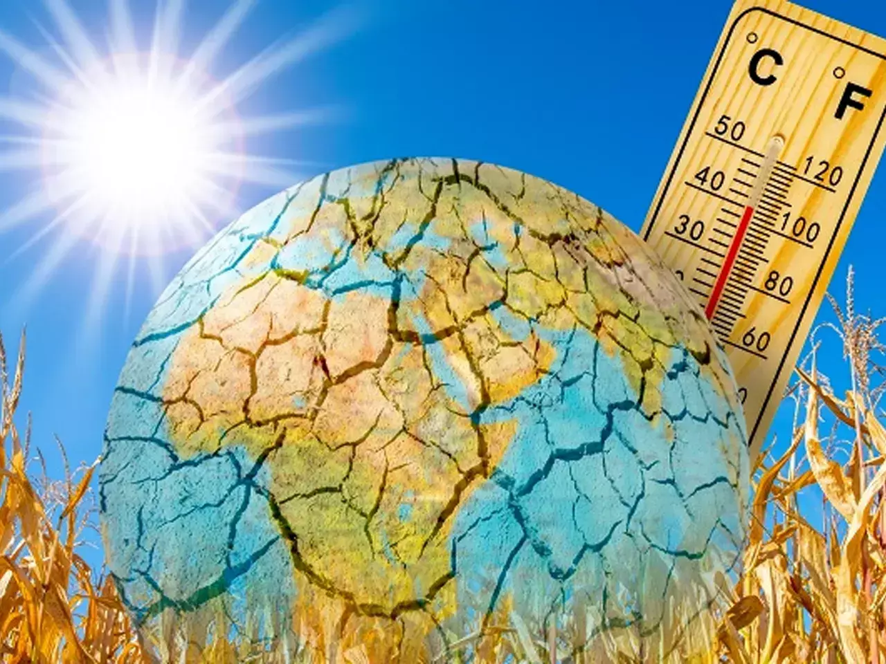 july the scientific world will be the hottest month