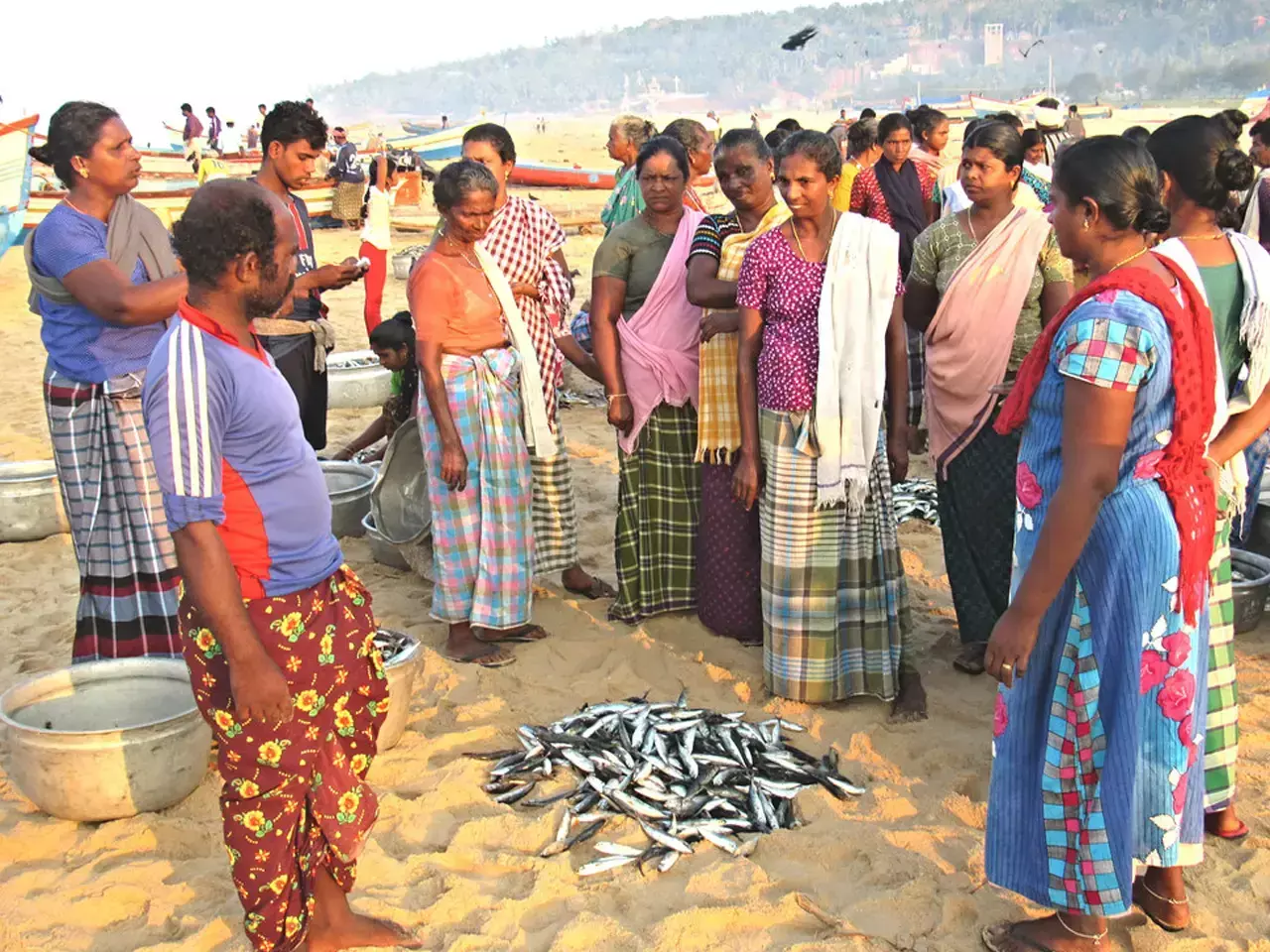 തീരമൈത്രി പദ്ധതി; സംരംഭങ്ങളിലേയ്ക്ക് അപേക്ഷ ക്ഷണിച്ചു