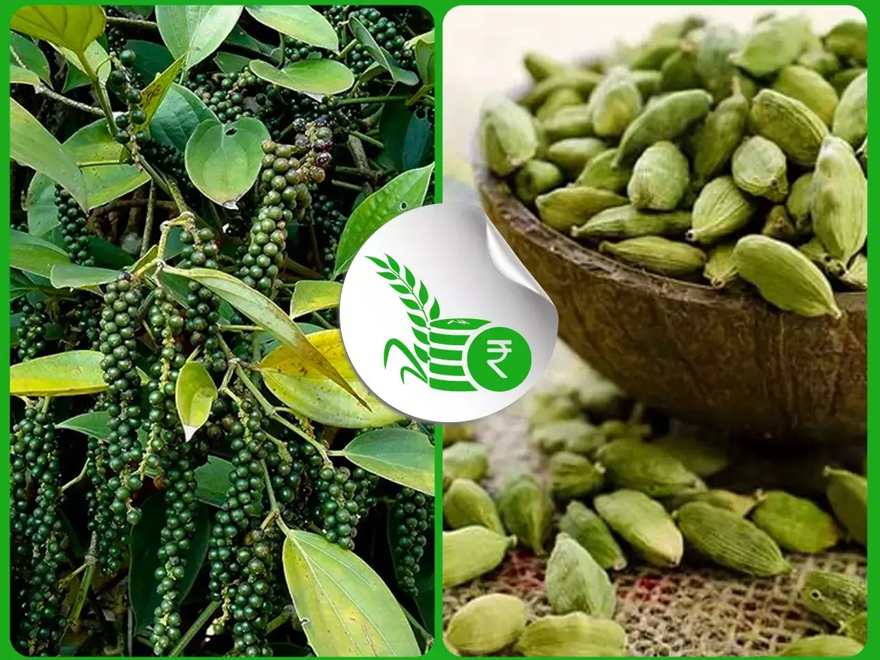 commodities market rate 25 07