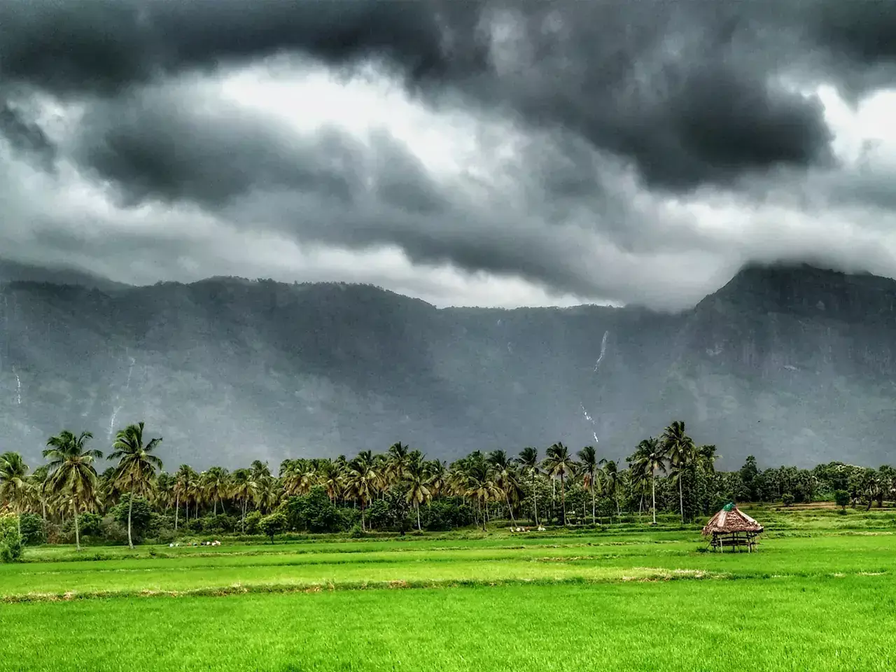 lets lead kollengode, through responsible tourism