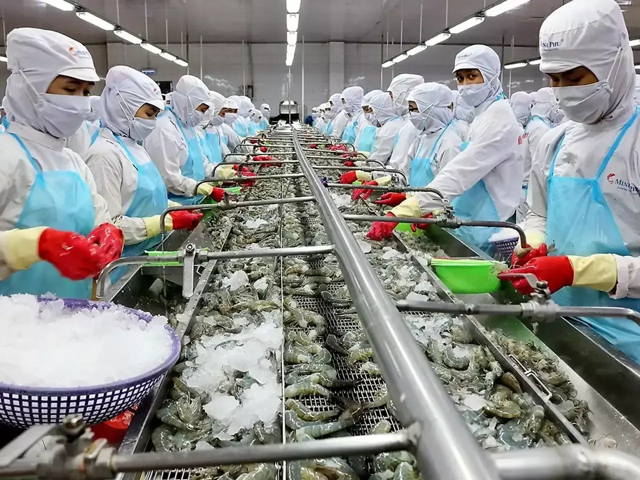 india seeks eu approval for shrimp exports by newly listed companies
