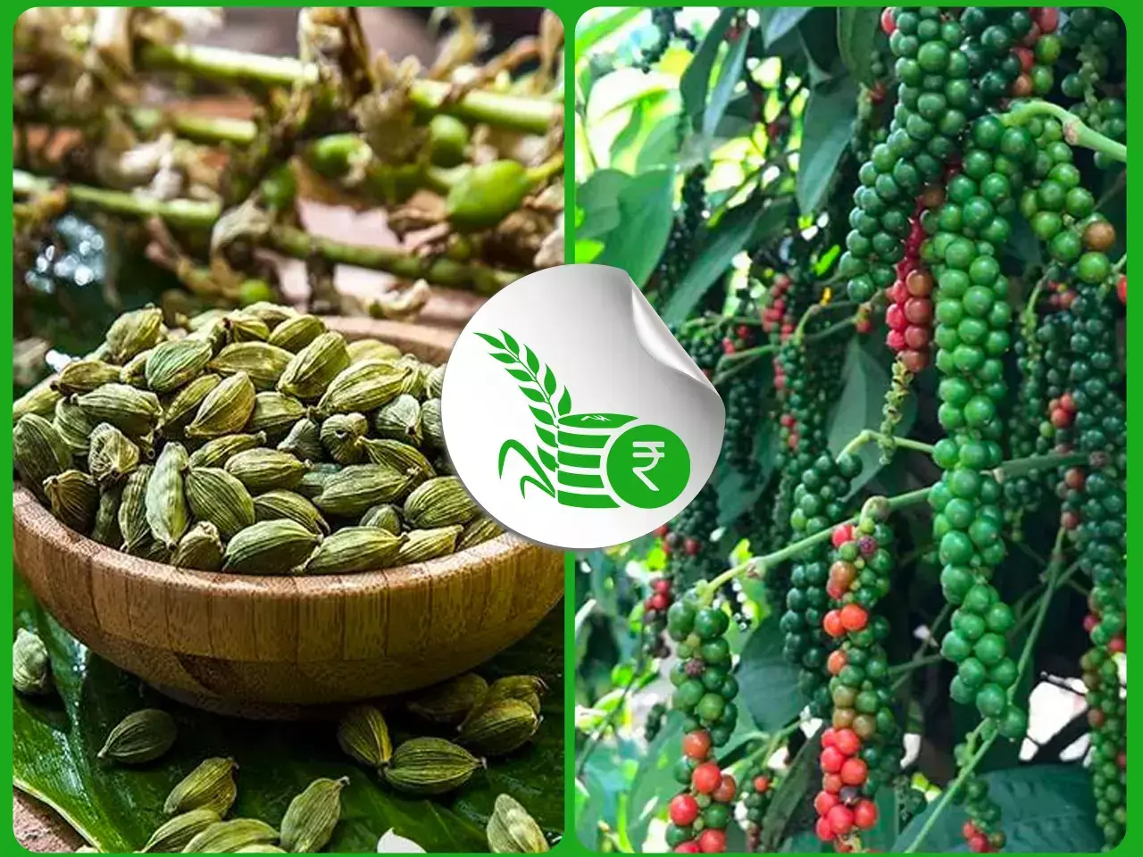 commodities market rate