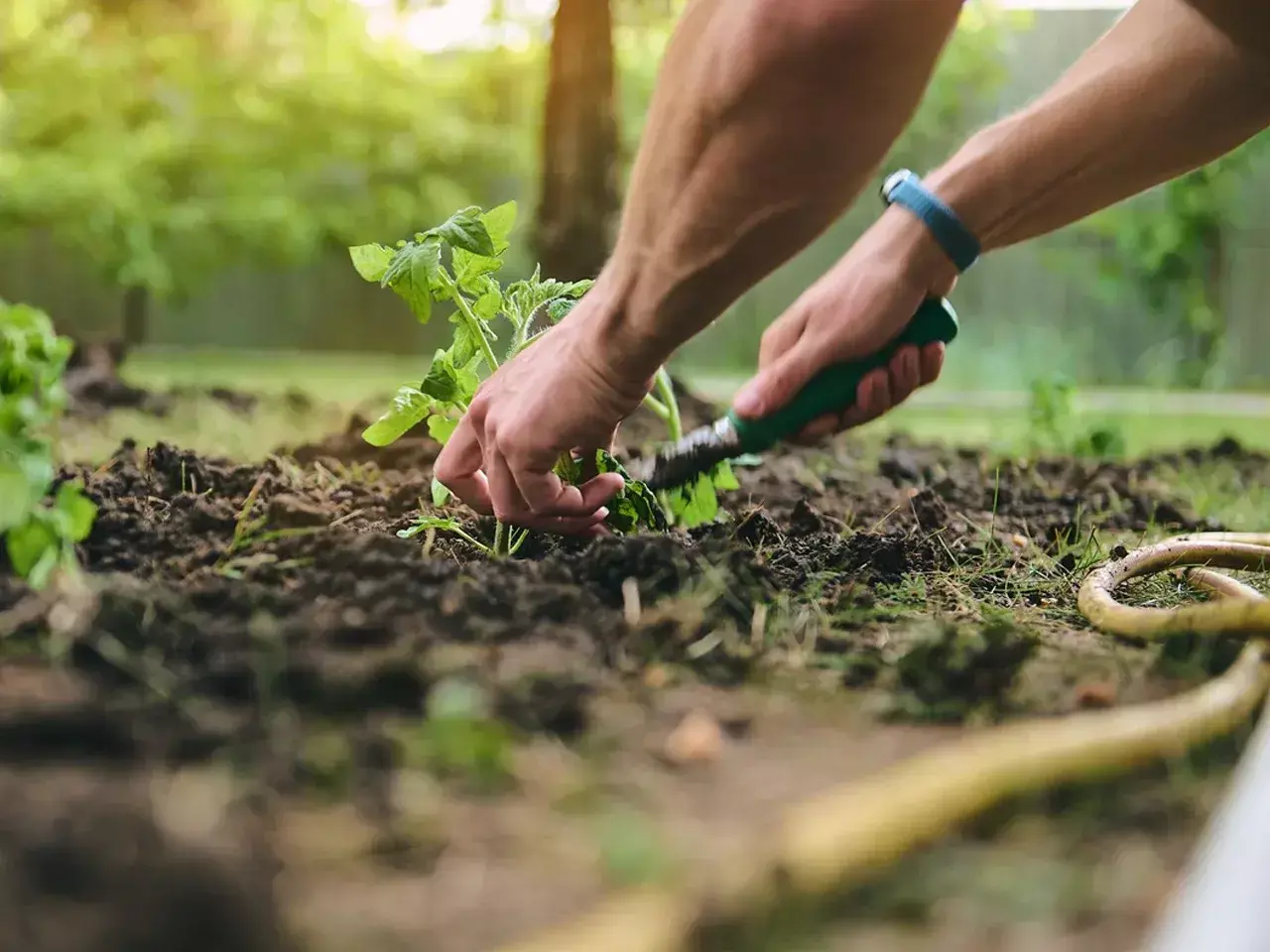 approval to form kerala agro business company