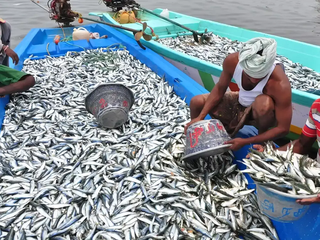 trolling is over, its time for the boats that arrived on the first day