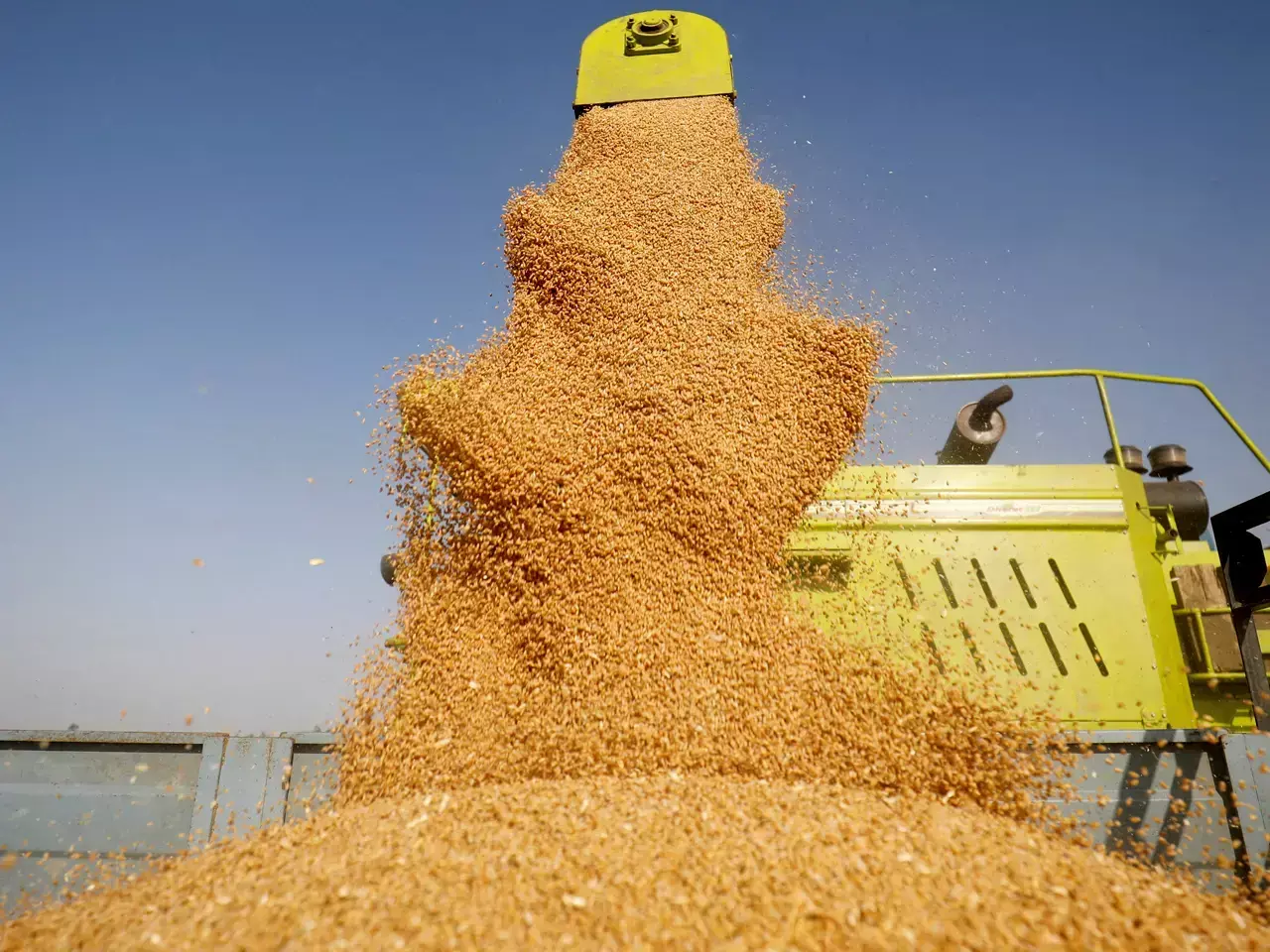 india is reportedly preparing to import russian wheat