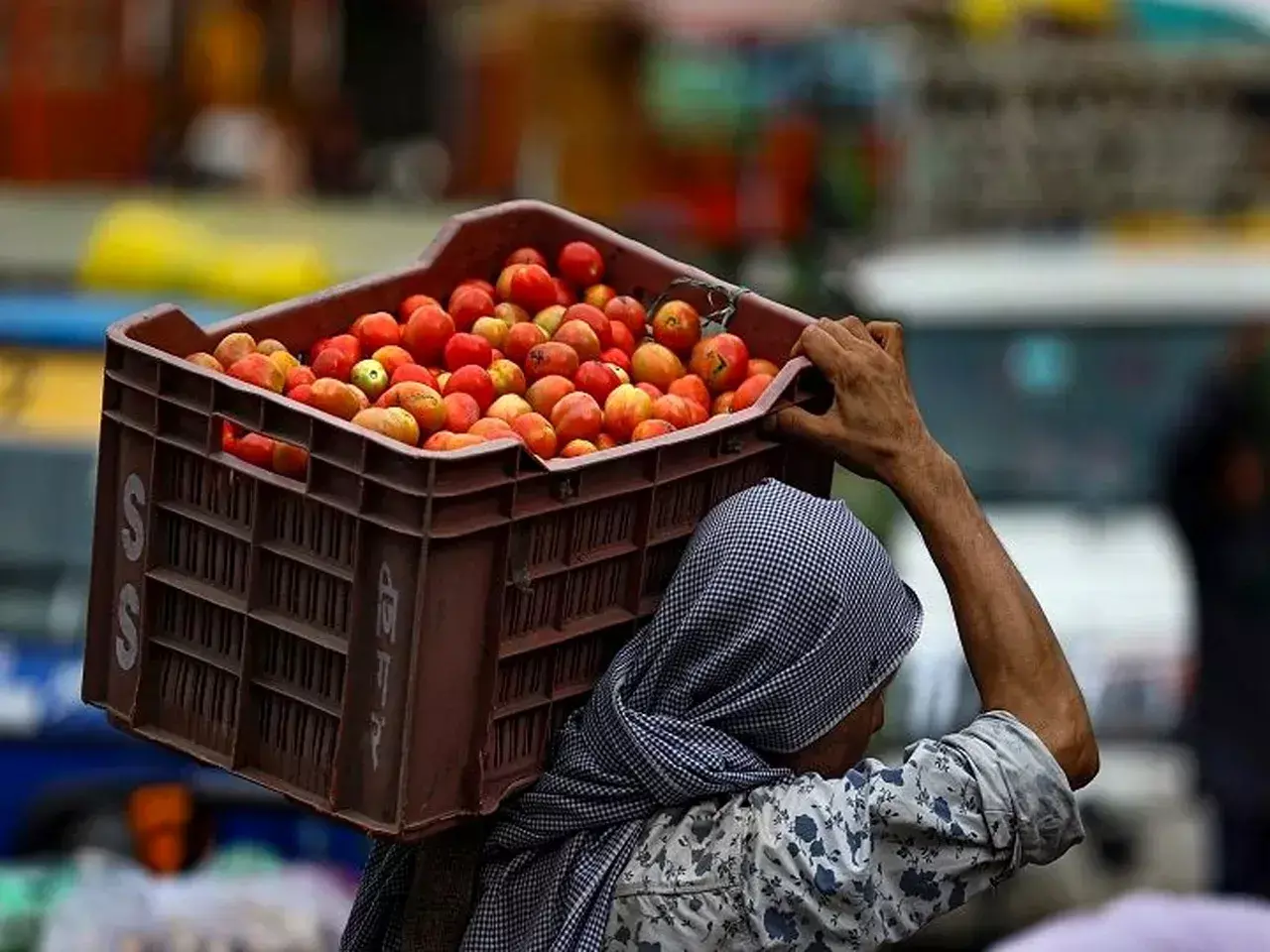 price of tomato in delhi may reach 300