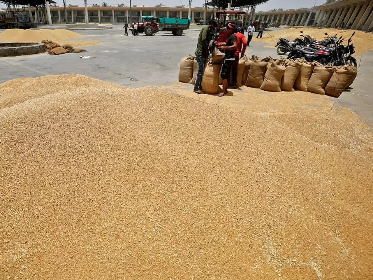 ഭക്ഷ്യ സുരക്ഷ ഉറപ്പാക്കാന്‍ ഗോതമ്പിന്റെ ഇറക്കുമതി ചുങ്കം പിന്‍വലിക്കണമെന്ന് എഫ്‌സിഐ