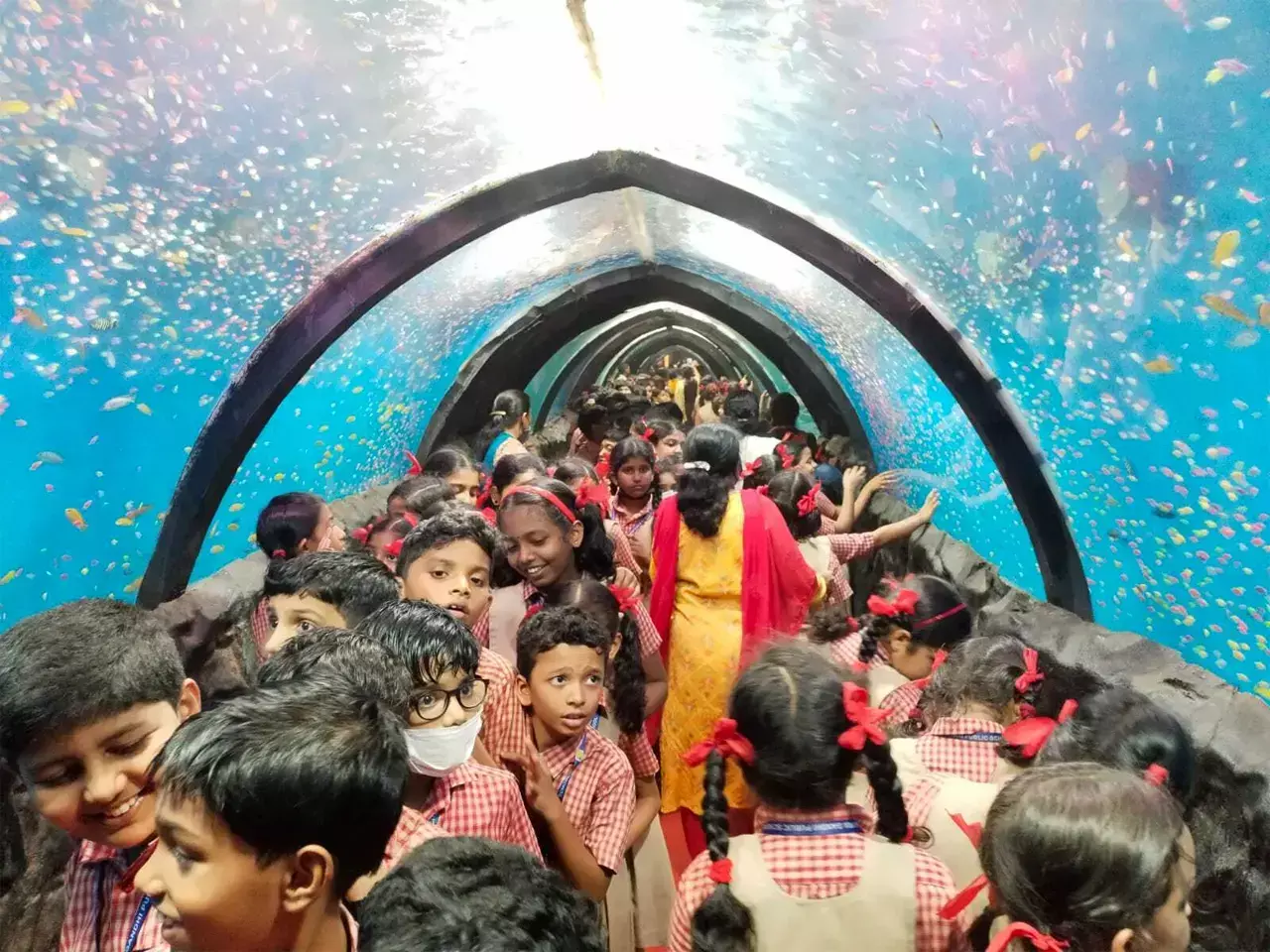 tunnel aquarium exhibit with deep sea wonder from 11