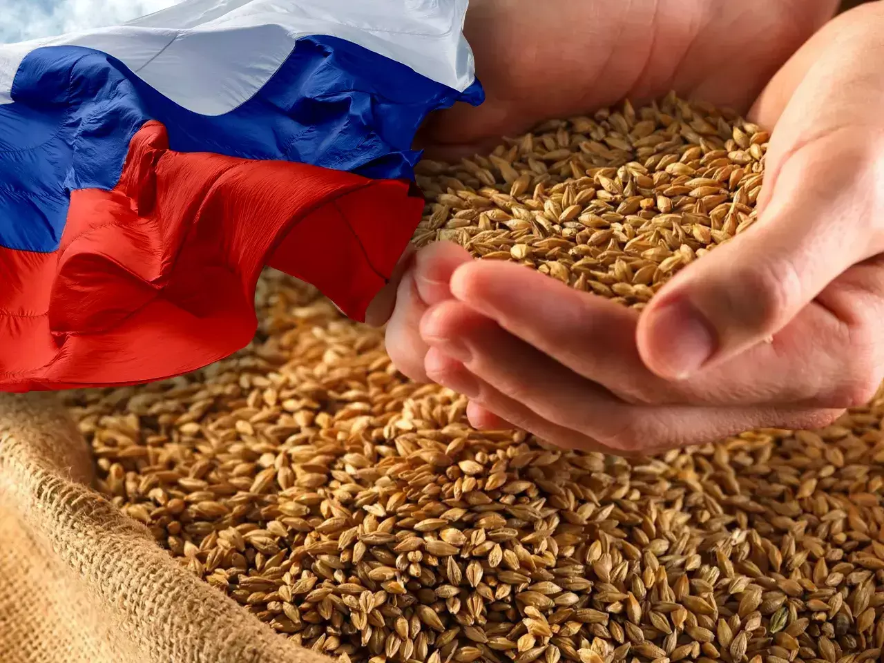 after crude oil, india is going to import wheat from russia