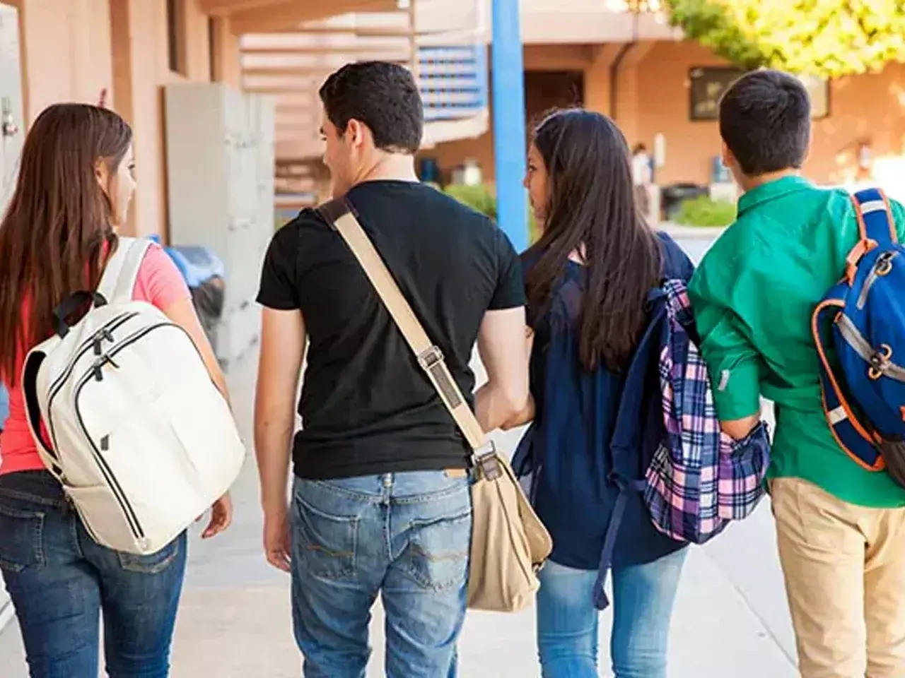 study and work uk is falling sharply