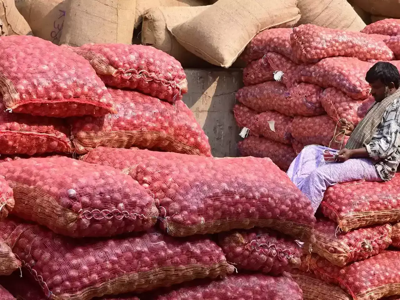 onion export duty news