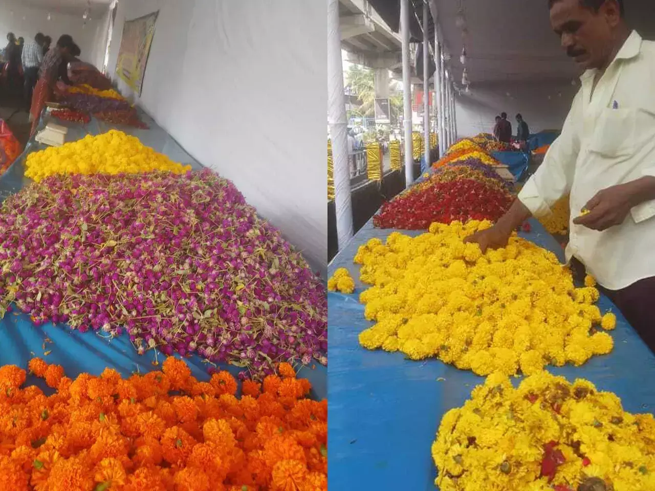 vadamalli and chendumalli became stars in the flower market