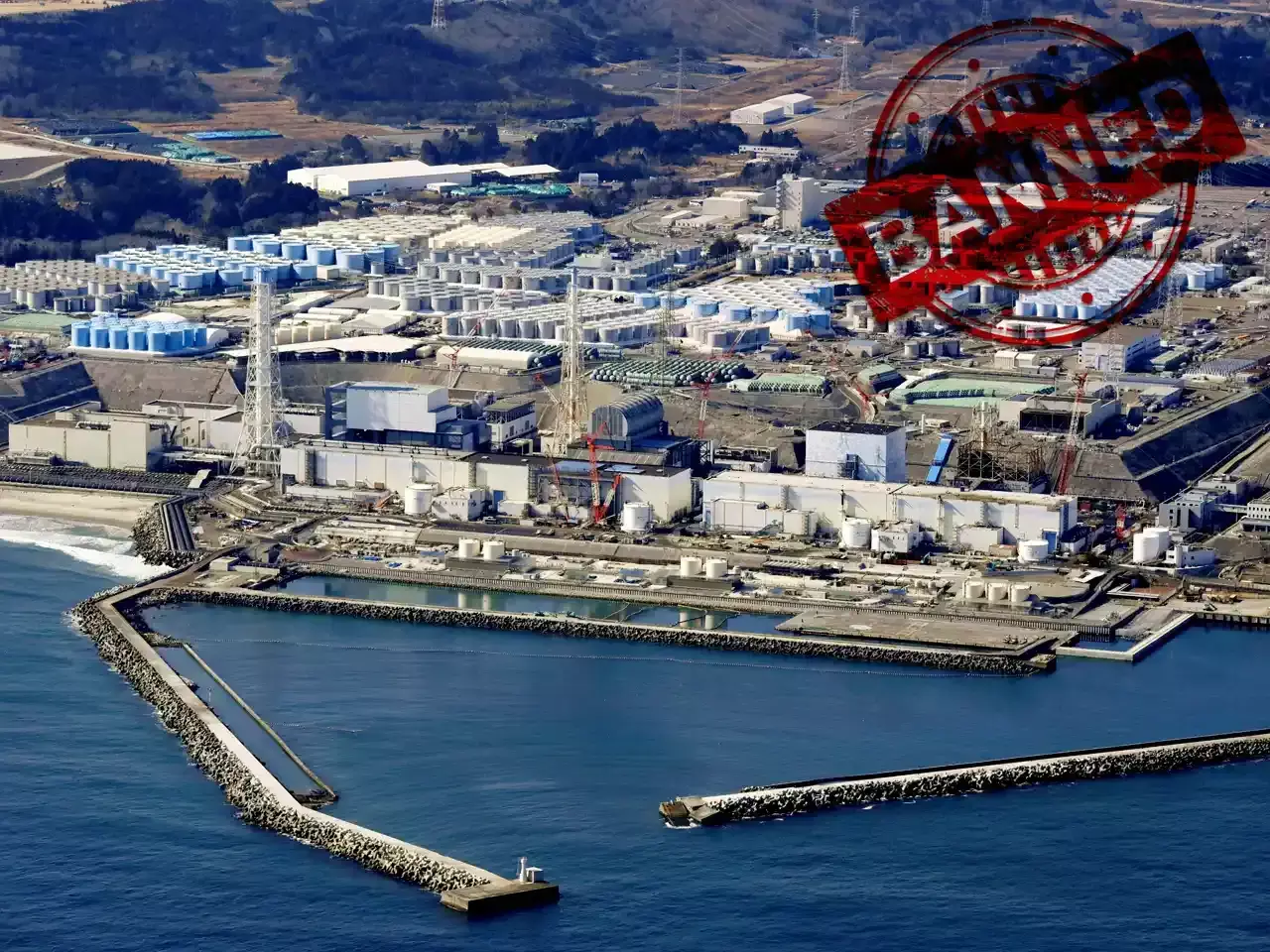 radioactive waste water into the sea china bans japanese seafood | china bans seafood from japan