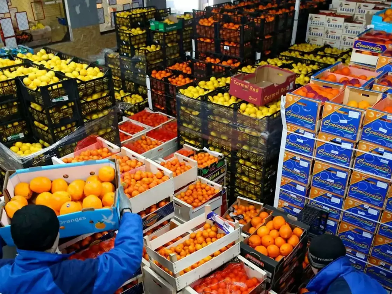 fruits are directly exported from assam to singapore fruits are directly exported from assam to singapore