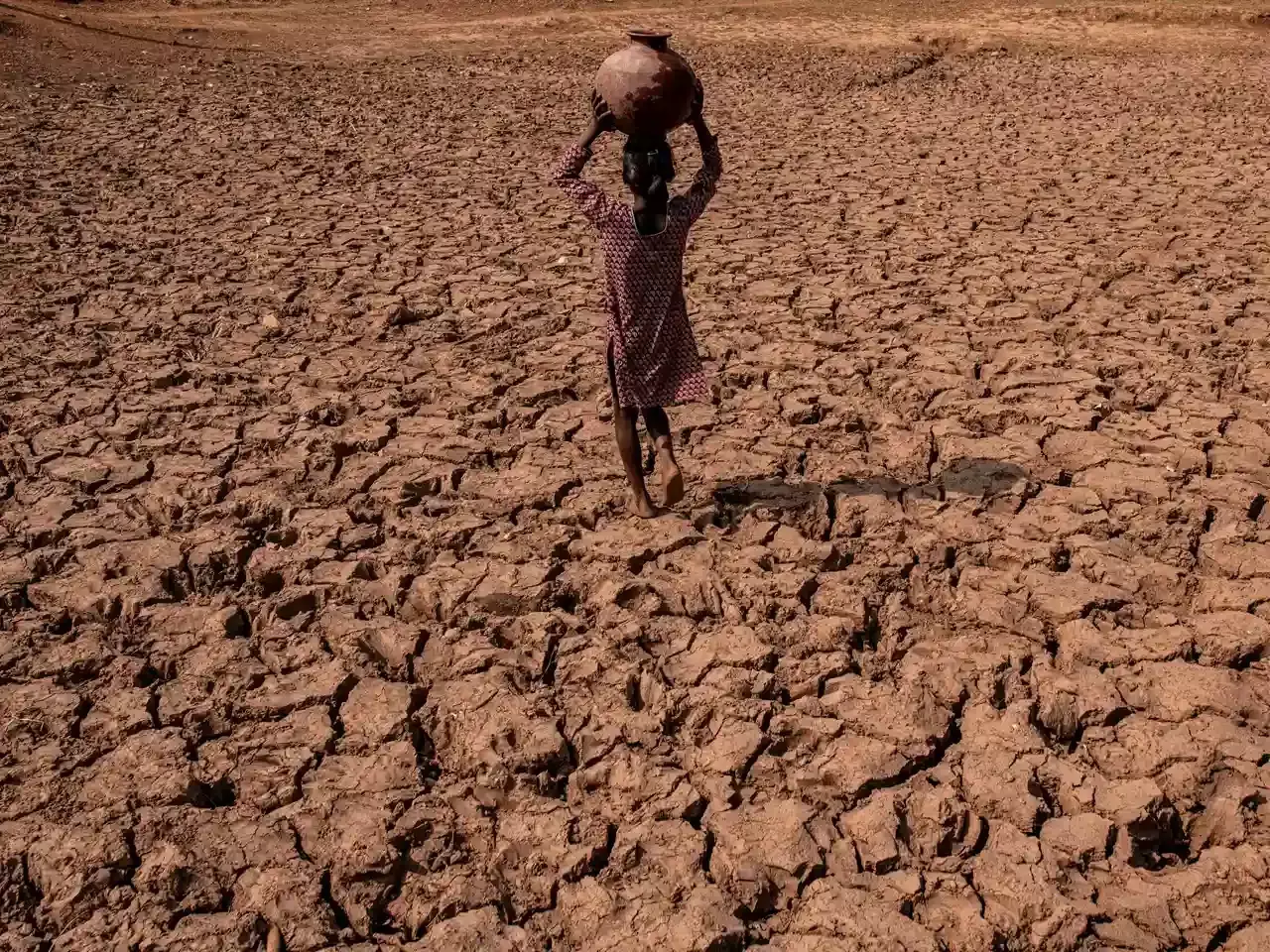 India monsoon forecast