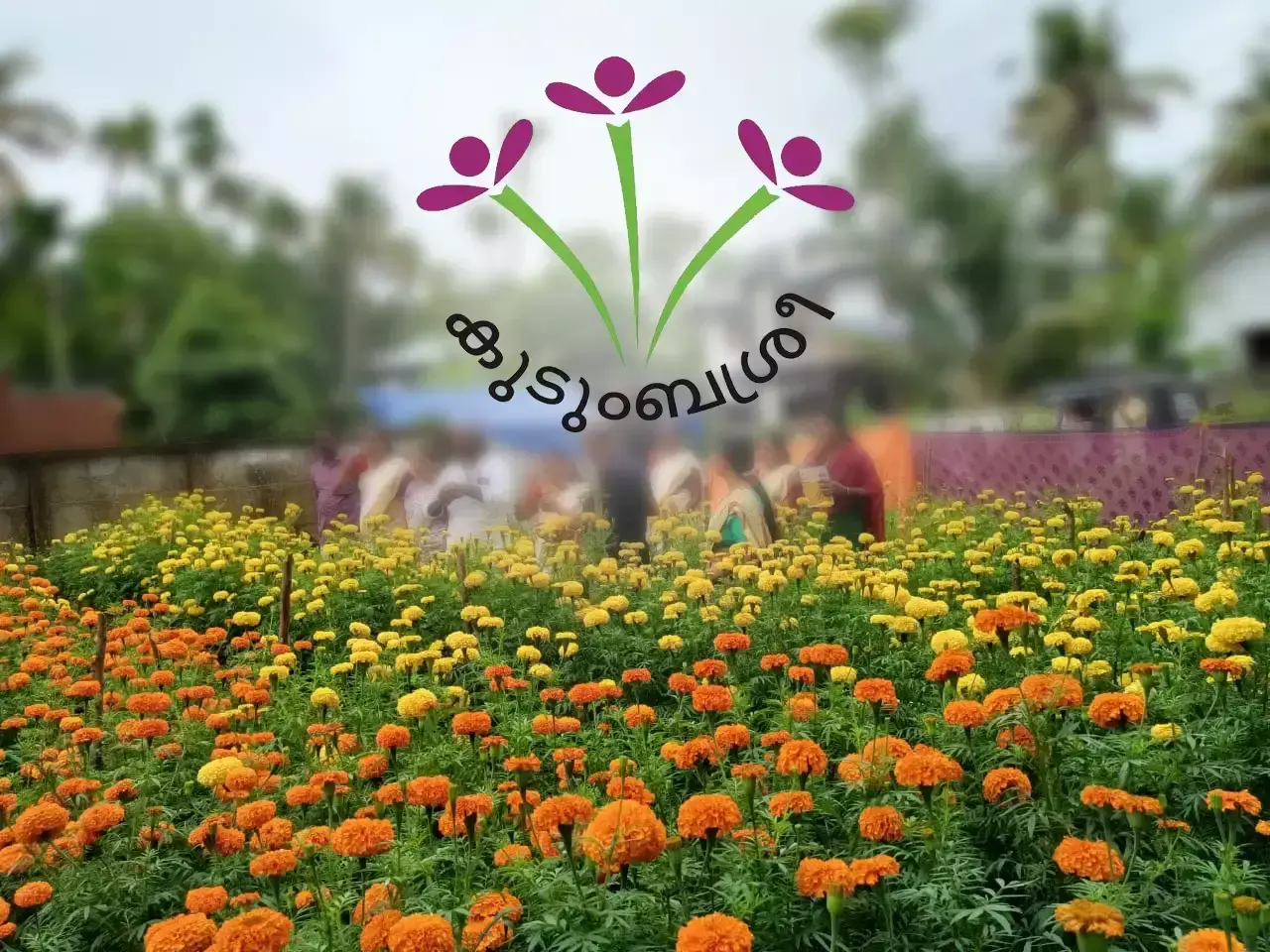 our onam is our flower kudumbashree reaped the benefits