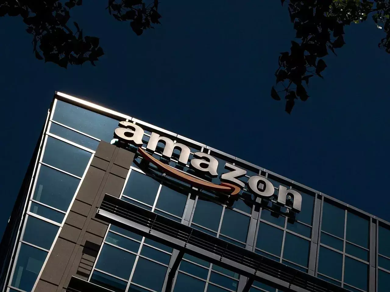 amazon nature-based projects